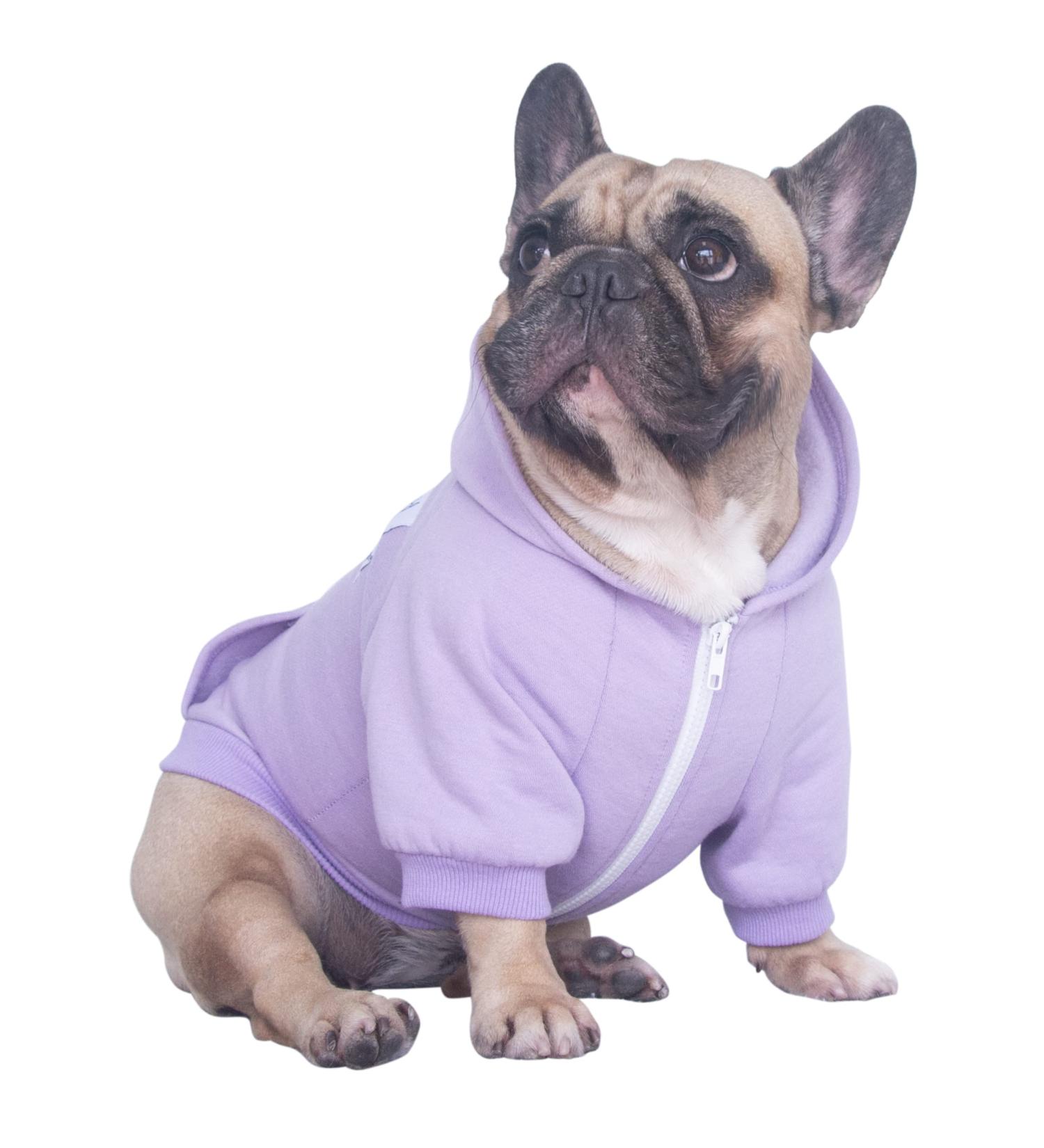 iChoue French Bulldog Frenchie Clothes Hoodies For Dogs Pug English Boston Terrier Bully Pitbull Corgi Sweatshirt Sweater Clothing - Light Purple/Medium Medium (Pack of 1) Light Purple - Buy Online on SooperMarket.com