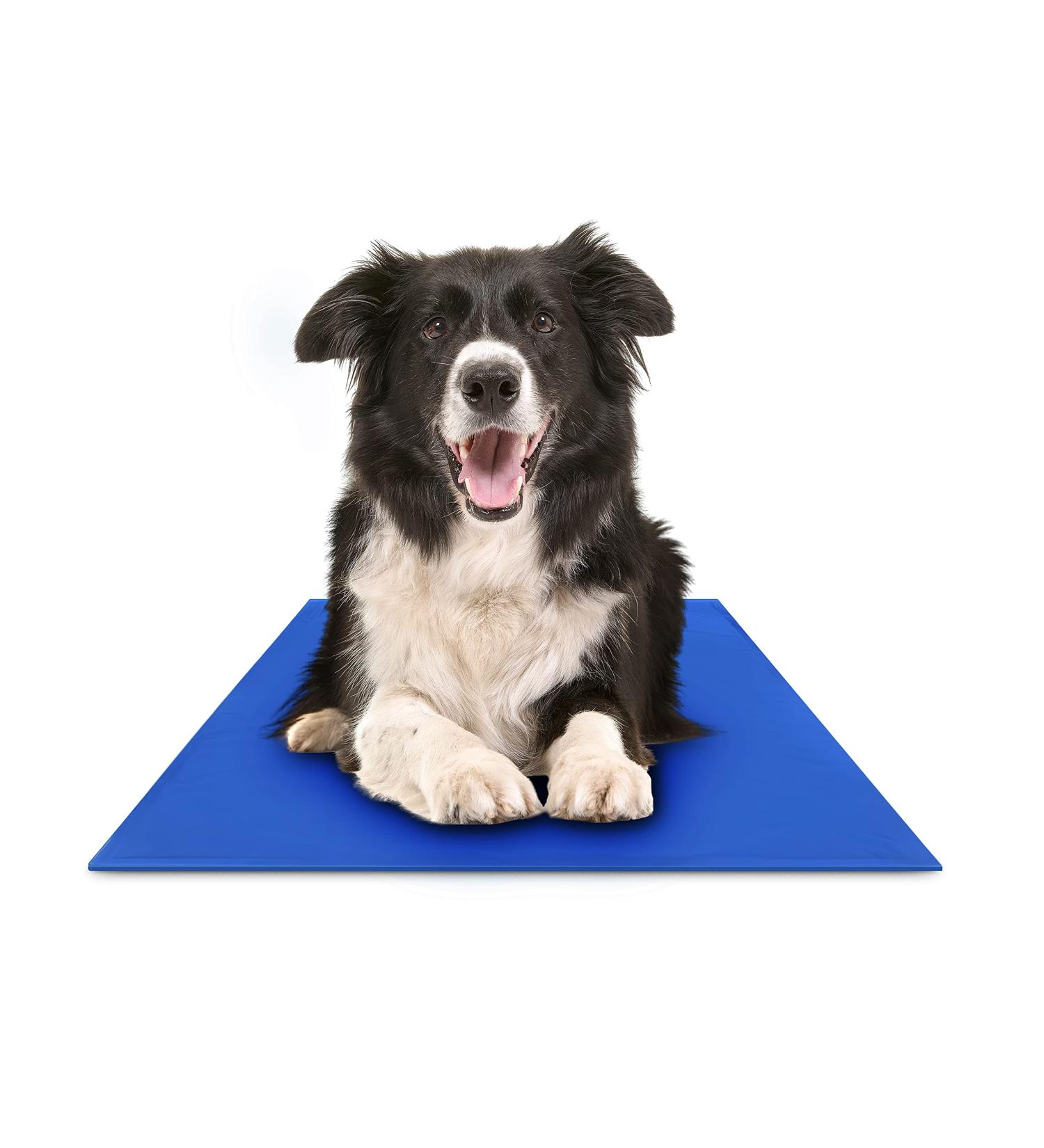 Chillz Dog Cooling Mat - Pressure Activated Gel Pad for Dogs & Cats - Non-Toxic, No Water Needed - Ideal for Home, Travel, Crates - Large Blue - Buy Online on SooperMarket.com