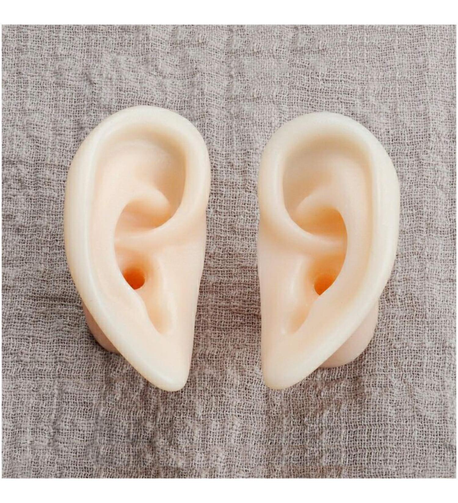 Soft Silicone Ear Template - Artificial Simulation Human Simulation Ear - Eare Acupuncture Acupuncture Point Template - for Acupuncture Soujons Loops - Buy Online on SooperMarket.com