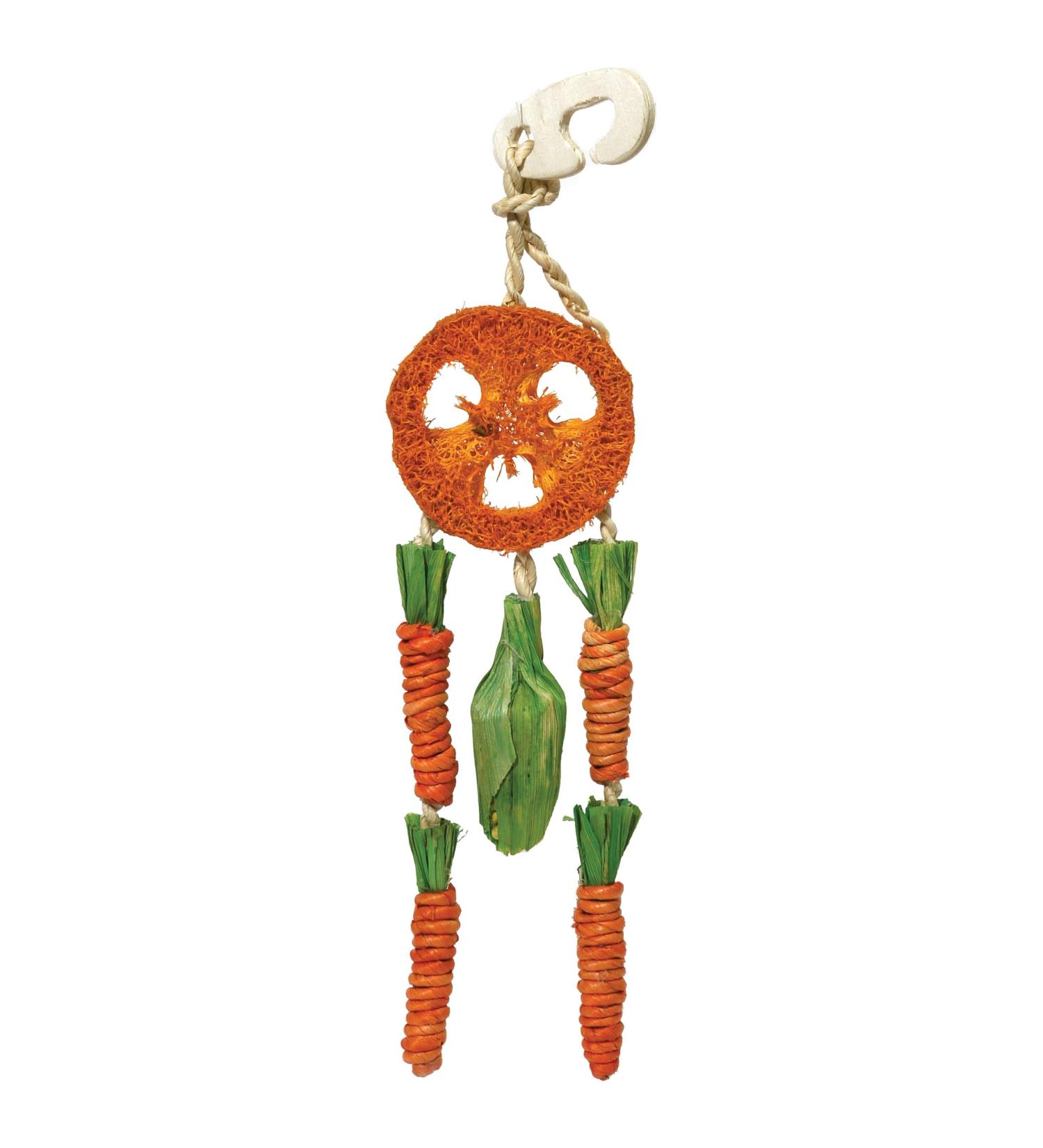 Rosewood Carrot Dream Catcher for Small Animals - Boredom Breaker, Chew Toy - Buy Online on SooperMarket.com