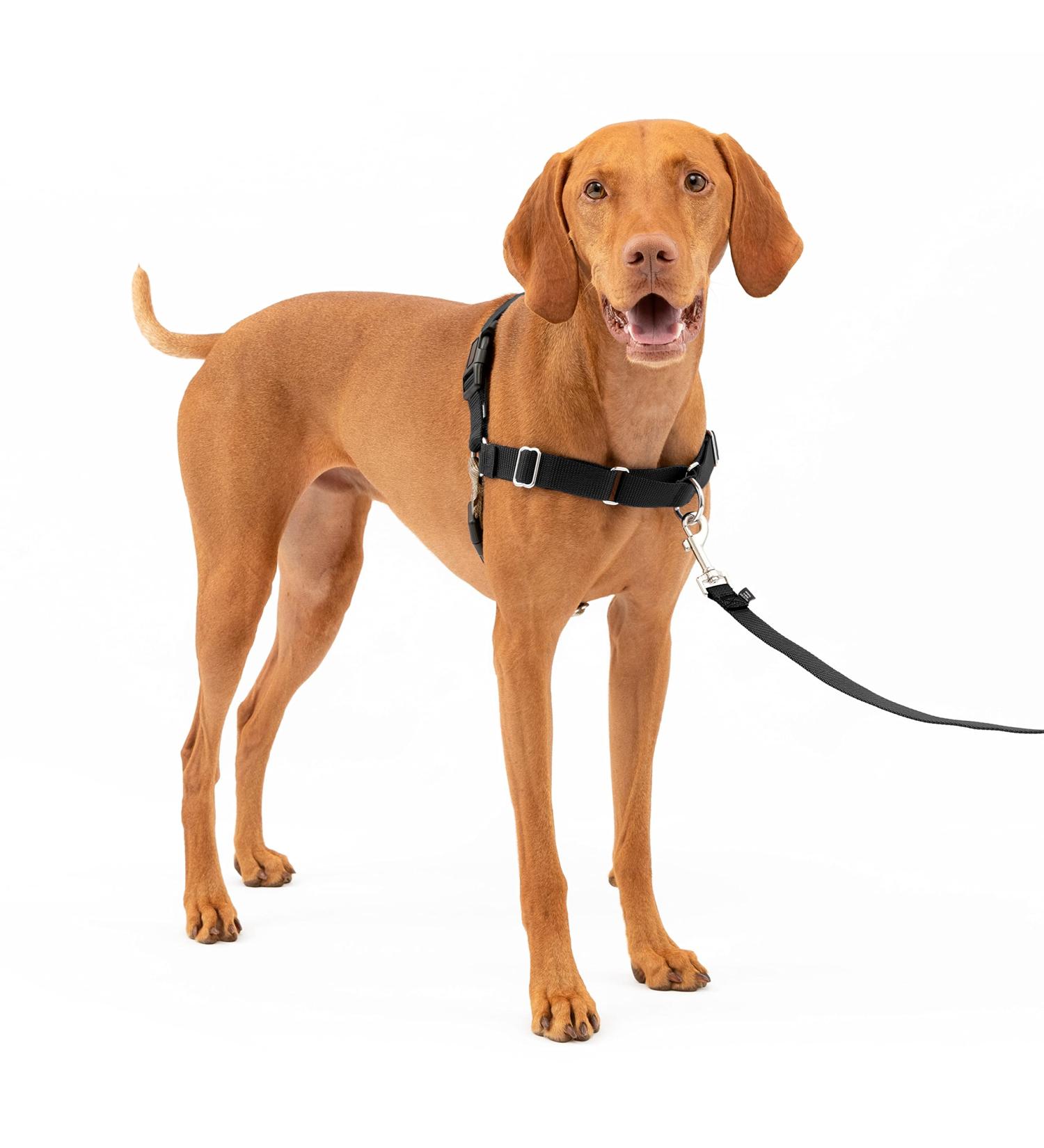 PetSafe Easy Walk Harness - Anti-Pull Dog Harness for Reduced Choking & Coughing Includes 1.8M Leash Size M Black - International Shipping Available - Buy Online on SooperMarket.com