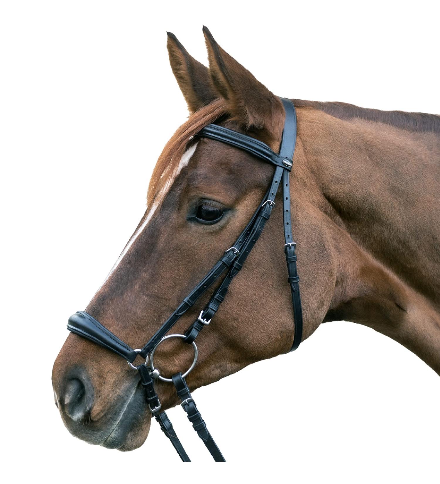 Buy Star Waldhausen Bridle Hannover Black Pony Premium Quality Equestrian Gear for International Shipping - Buy Online on SooperMarket.com