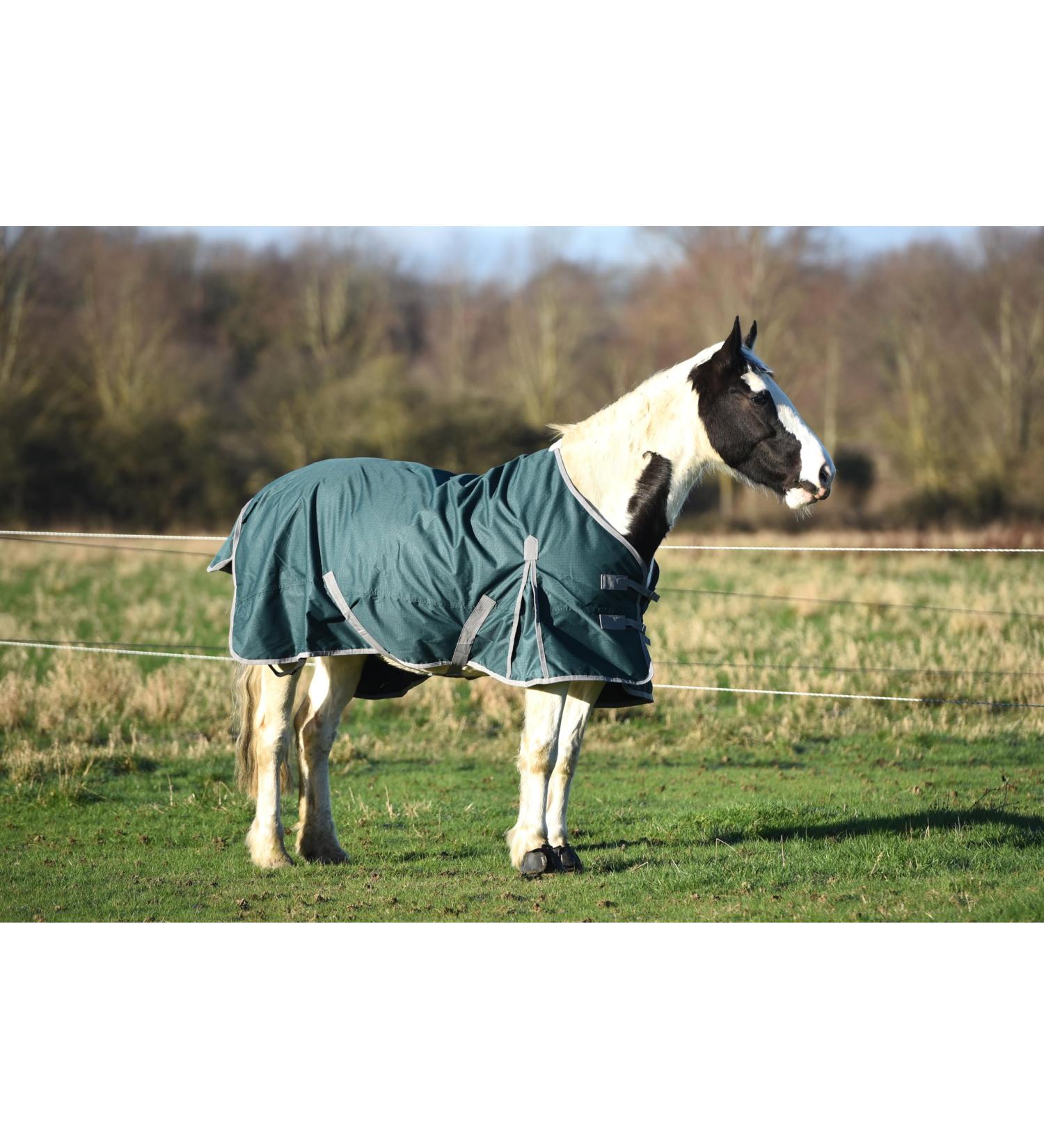 Lightweight No Fill Turnout Horse Rug Horse Turnout Rug 0g Fill 600d Lightweight No Fill Turnout Horse Rugs | Standard Neck Horse Rain Sheet (6'3'') - Buy Online on SooperMarket.com