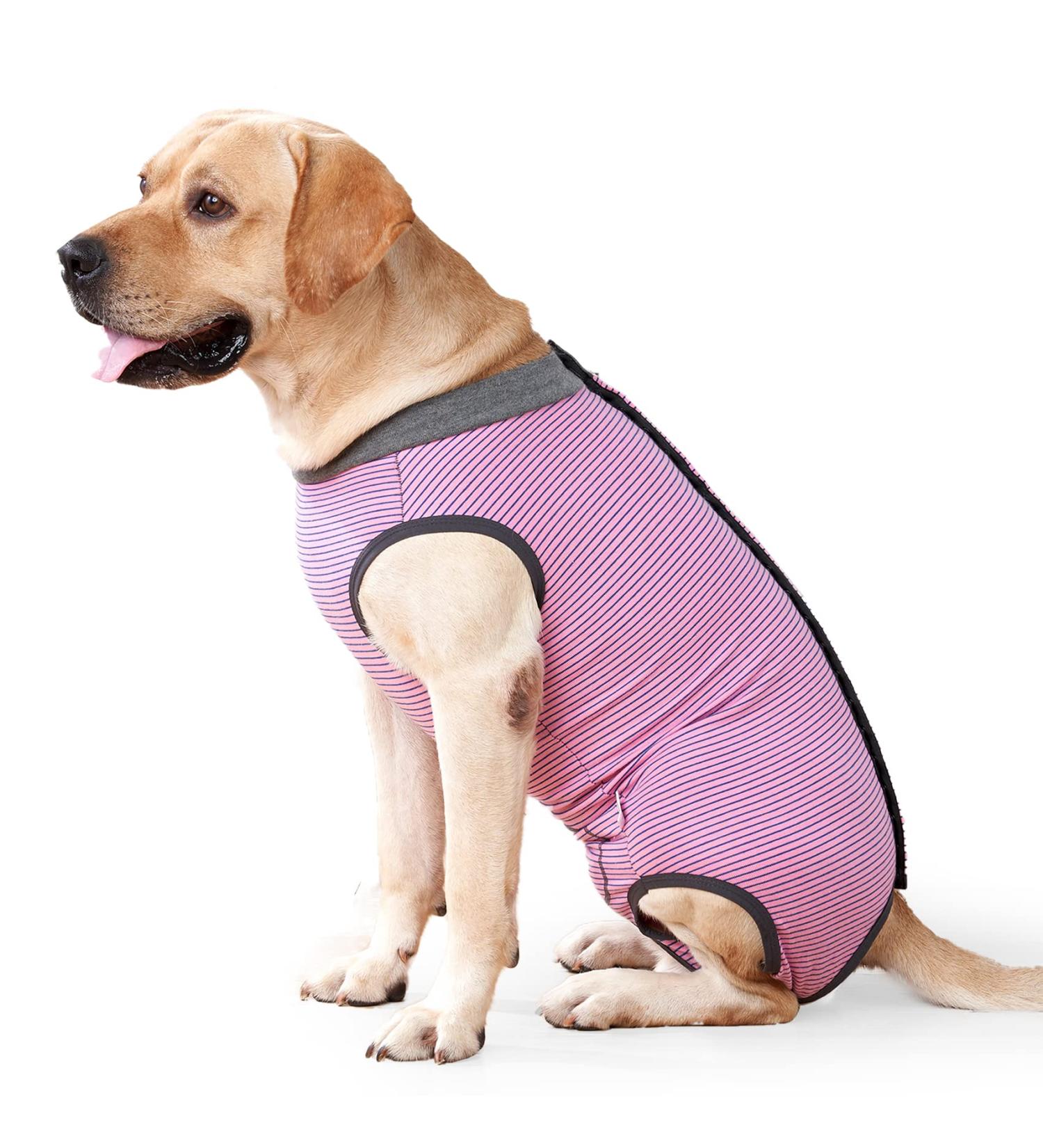 HEYWEAN Dog Recovery Suit Spay Suit for Female Dog Bodysuit After Surgery Dog Onesie for Surgery Male Dog Surgical Vest Substitute Recovery Collars XL (Pack of 1) Pink Striped - Buy Online on SooperMarket.com