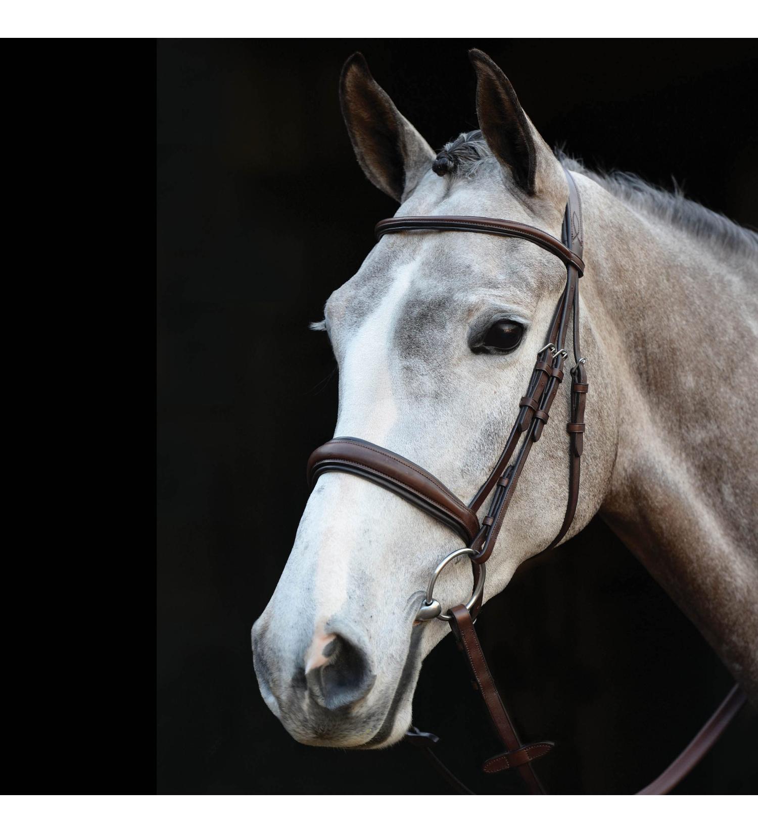 Collegiate Mono Crown Padded Raised Cavesson Bridle Full Black