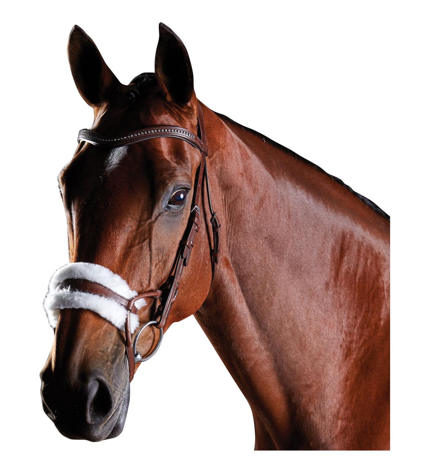 Buy Collegiate ComFiTec Sheepskin Bridle Brown Cob - Premium Comfort & Quality for Equestrian Excellence | International Shipping Available - Buy Online on SooperMarket.com