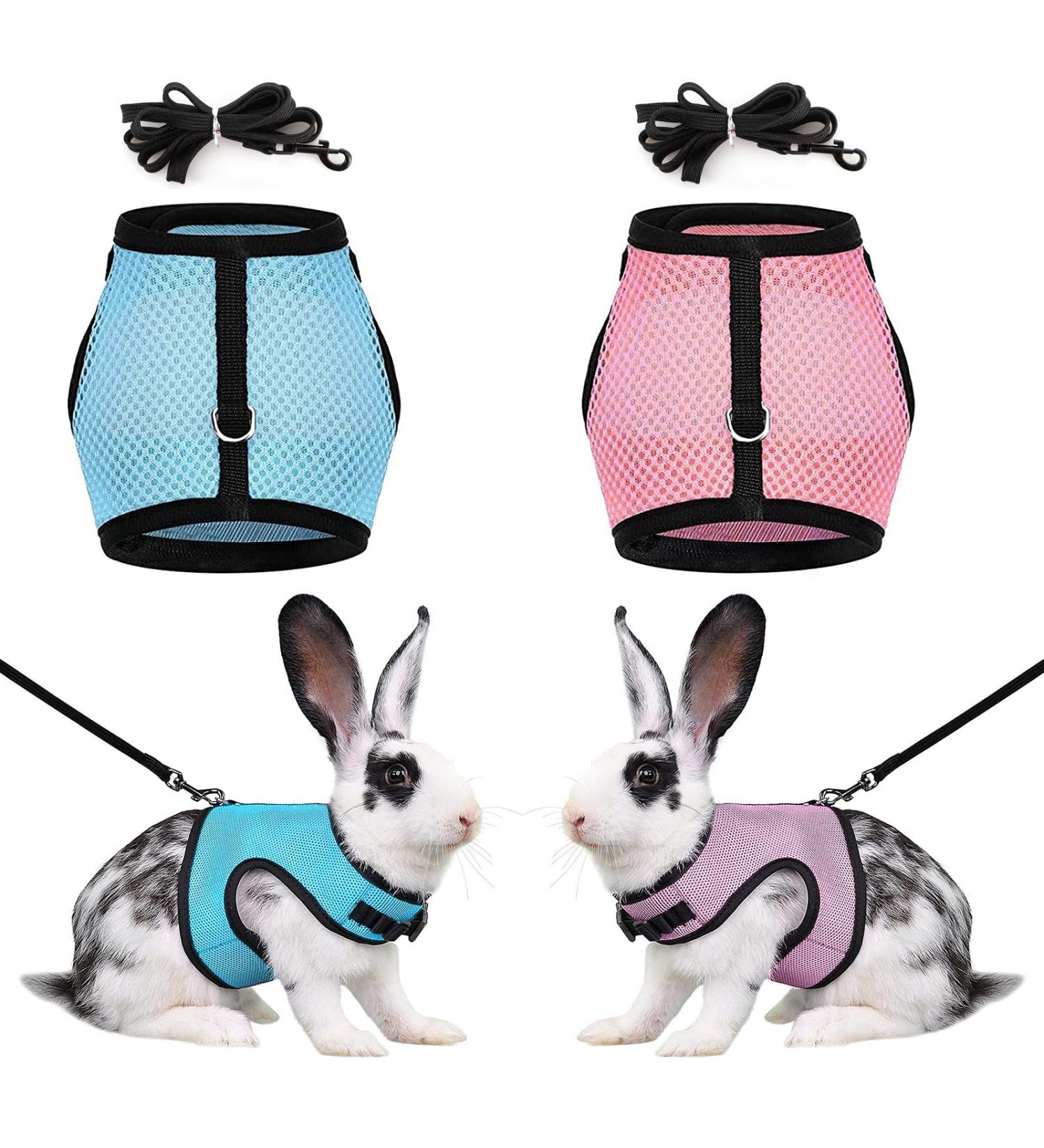 Adjustable Rabbit Dishes & Leash Set for Small Animals 2 Pieces in Blue & Pink | Perfect for Rabbits Hares Hamsters & Cats | Outdoor Use - Buy Online on SooperMarket.com