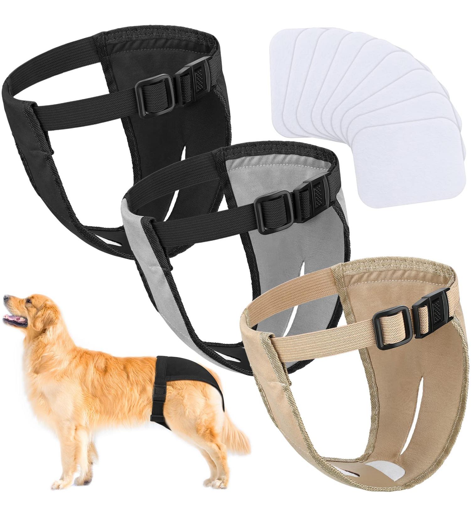3 Pack Dog Trousers & Diapers for Bitches - Adjustable Washable Protective During Heat & Bleeding - Buy Online on SooperMarket.com