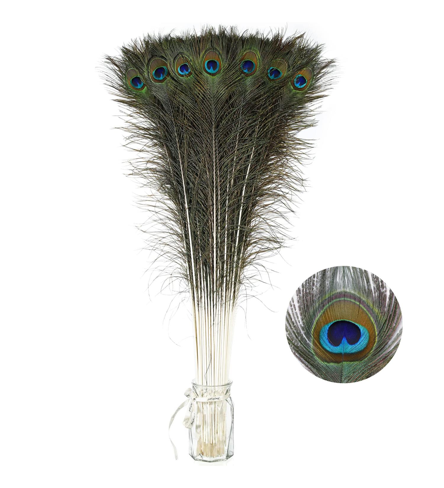 Soarer Long Peacock Feathers Bulk - 25pcs 32-35 inches for Vase, Holiday Decoration & DIY Crafts - Buy Online on SooperMarket.com