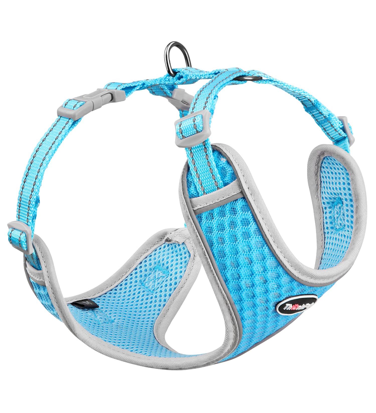 Thinkpet No-Pull Dog Harness Leash Set - Breathable Padded Reflective Safety Harness for Small Medium Large Dogs - Adjustable Running Harness (1 Pack) - Blue - Buy Online on SooperMarket.com