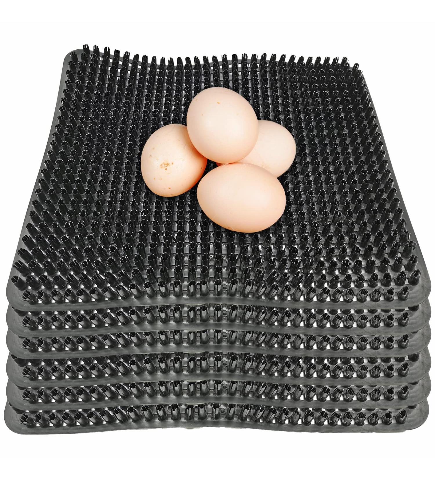 Hamiledyi Chicken Nesting Pads  Hen Nest Mats Washable  Chicken Nesting Box Plastic Liners  Reusable Egg Laying Mats for Chicken Coop Poultry Nest Boxes Ducks Nesting Pads 6PCS - Buy Online on SooperMarket.com