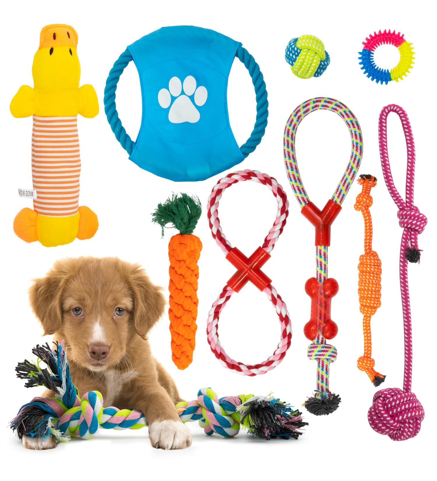 Fur & Bone 10 Pack Dog Chew Toys | Puppy Toys Dog Toys for Boredom | Indestructible Dog Toys with Rope Toys Squeaky Toy | Dog Toy Dog Teething Toys for Small & Medium Dogs | Dog - Buy Online on SooperMarket.com