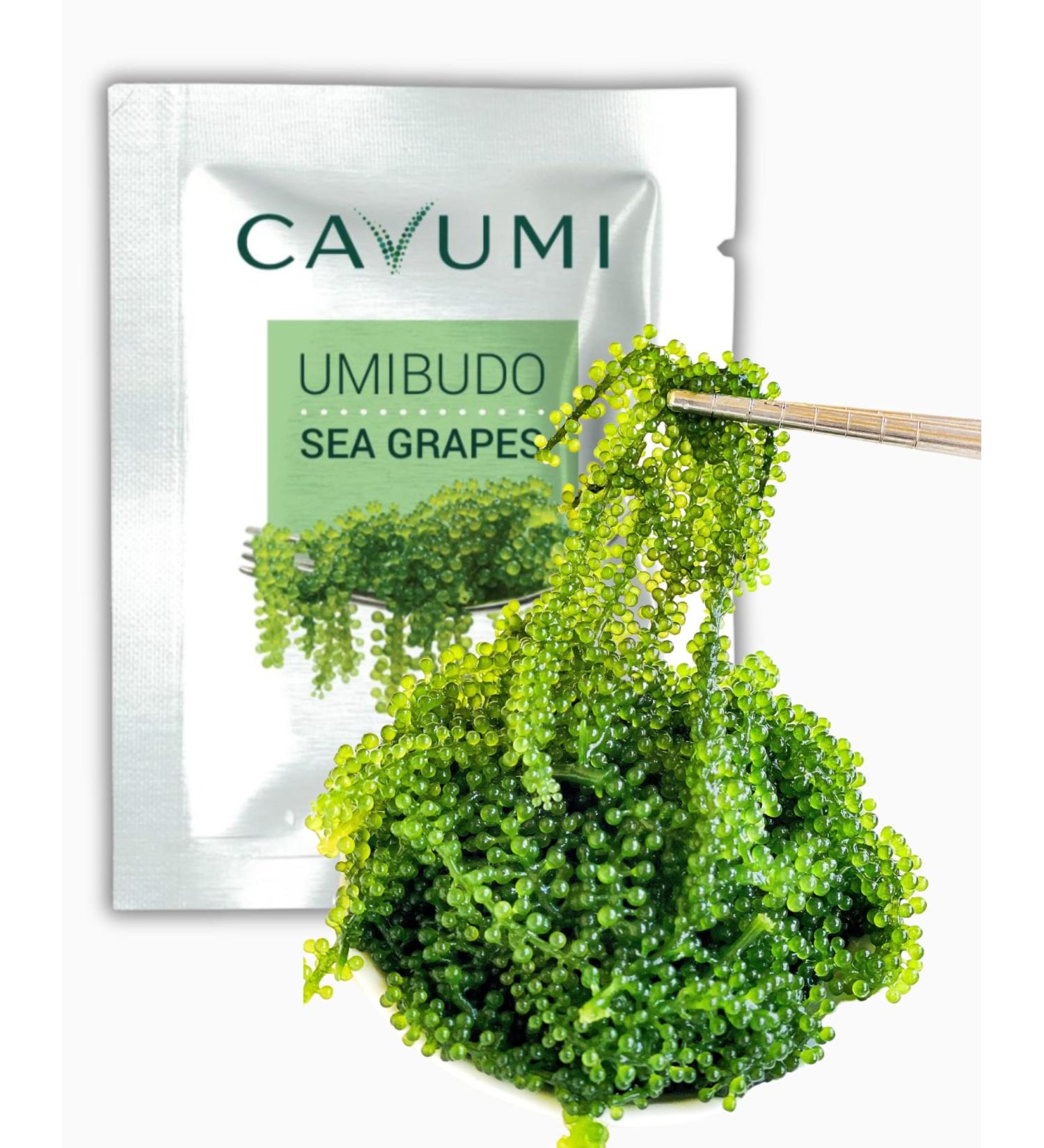 CAVUMI Sea Grapes 20g - Crunchy Seaweed Snack | Umibudo Green Caviar for International Shipping - Buy Online on SooperMarket.com