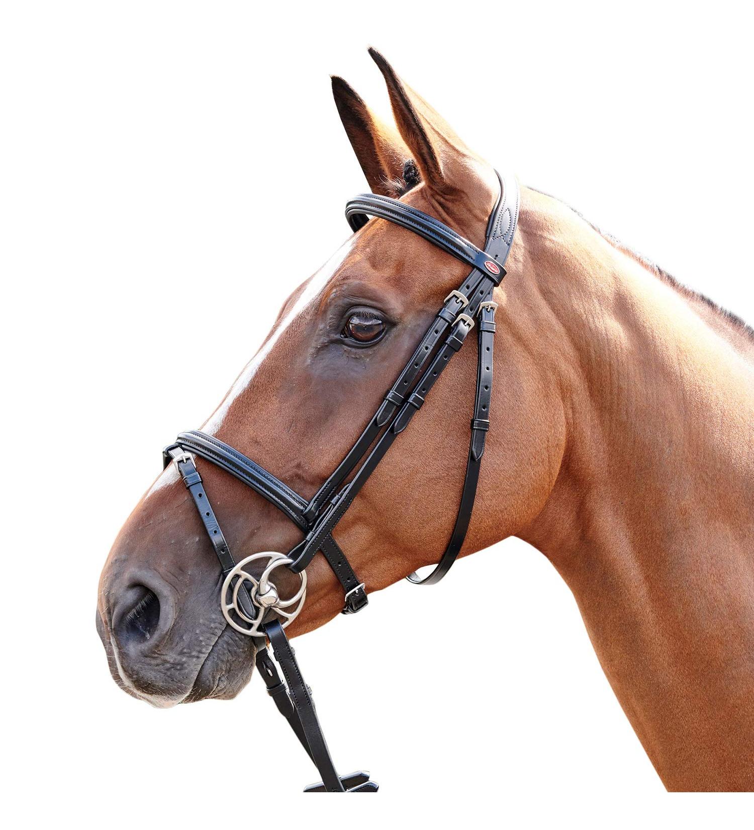 John Whitaker Barton Raised Flash Snaffle Bridle Black Cob