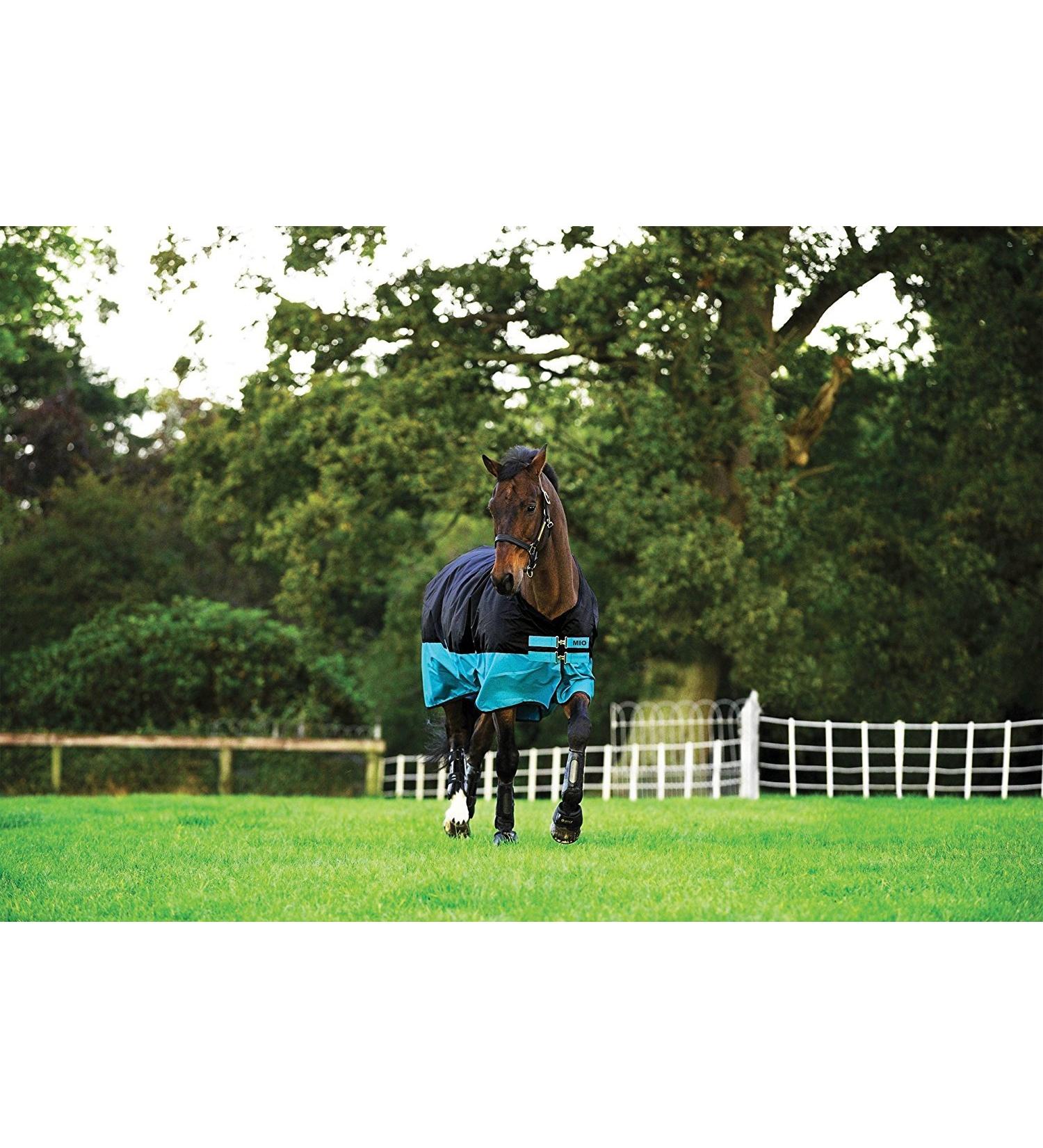 Horseware Mio T/O Lite Turnout Rug waterproof Black/Turq & Black HW 20 145 cm / 6 6