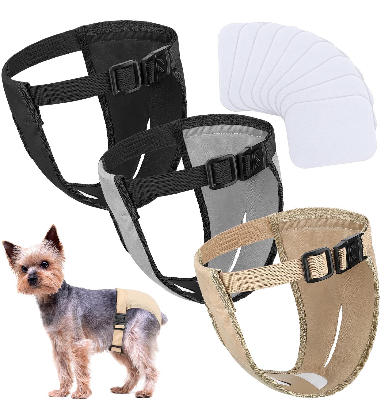 3 Pack Dog Diapers - Adjustable Protective Trousers for Heat & Monthly Bleeding | Washable Dog Pants - Buy Online on SooperMarket.com