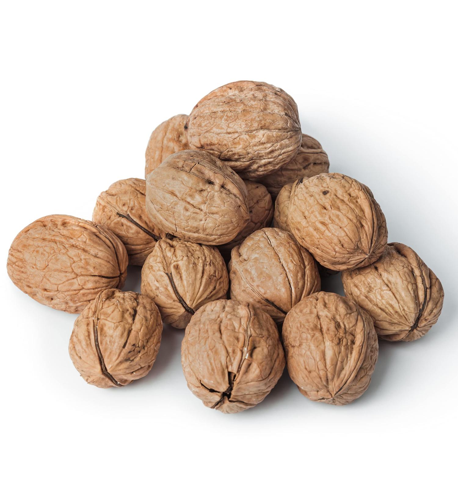 New Harvest 2022: 25kg Raw & Unprocessed Walnuts in Bowl for Squirrels - 100% Vegan & Natural - Buy Online on SooperMarket.com