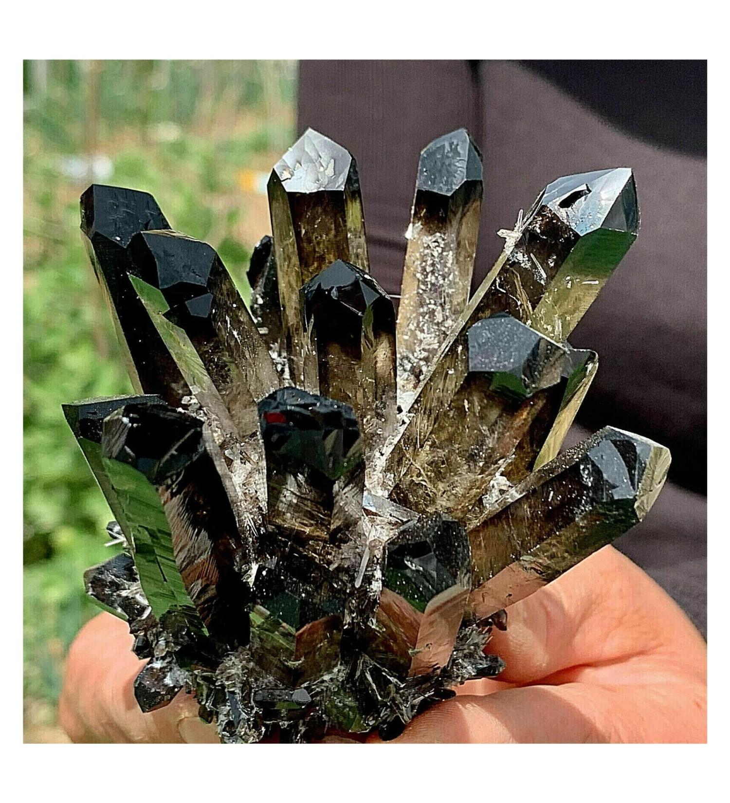 Natural Crystal Rough Crystals 1pc Black Phantom Quartz Crystal Cluster (Size : 900-1000g) - Buy Online on SooperMarket.com