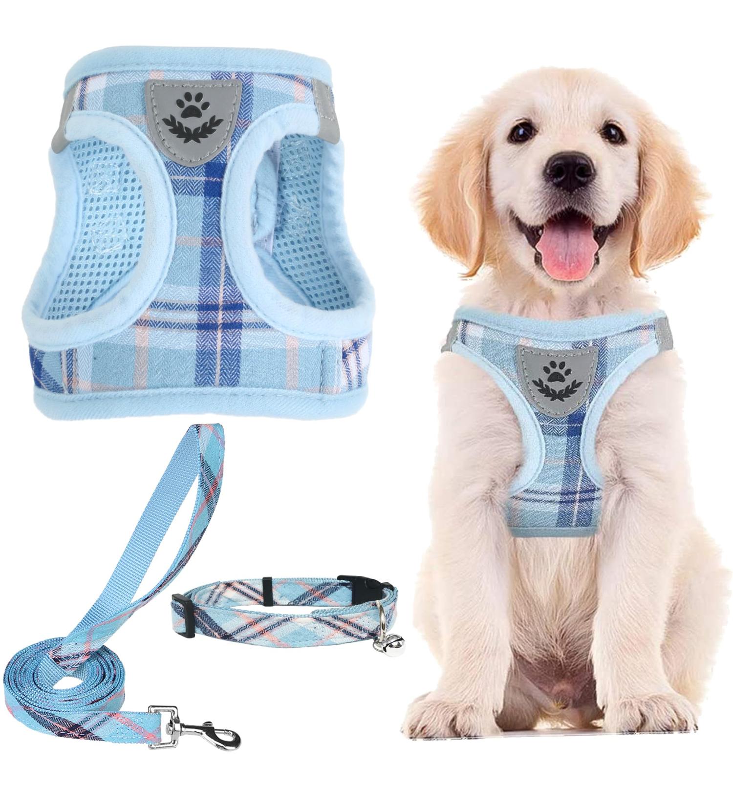 PUPTECK Dog Harness Small Dog with Collar and Lead Set Step-in No Pull Puppy Cat Harnesses for Daily Walking Blue M M: Chest girth: 40.6-45.7cm Collar: 30-40cm Blue - Buy Online on SooperMarket.com