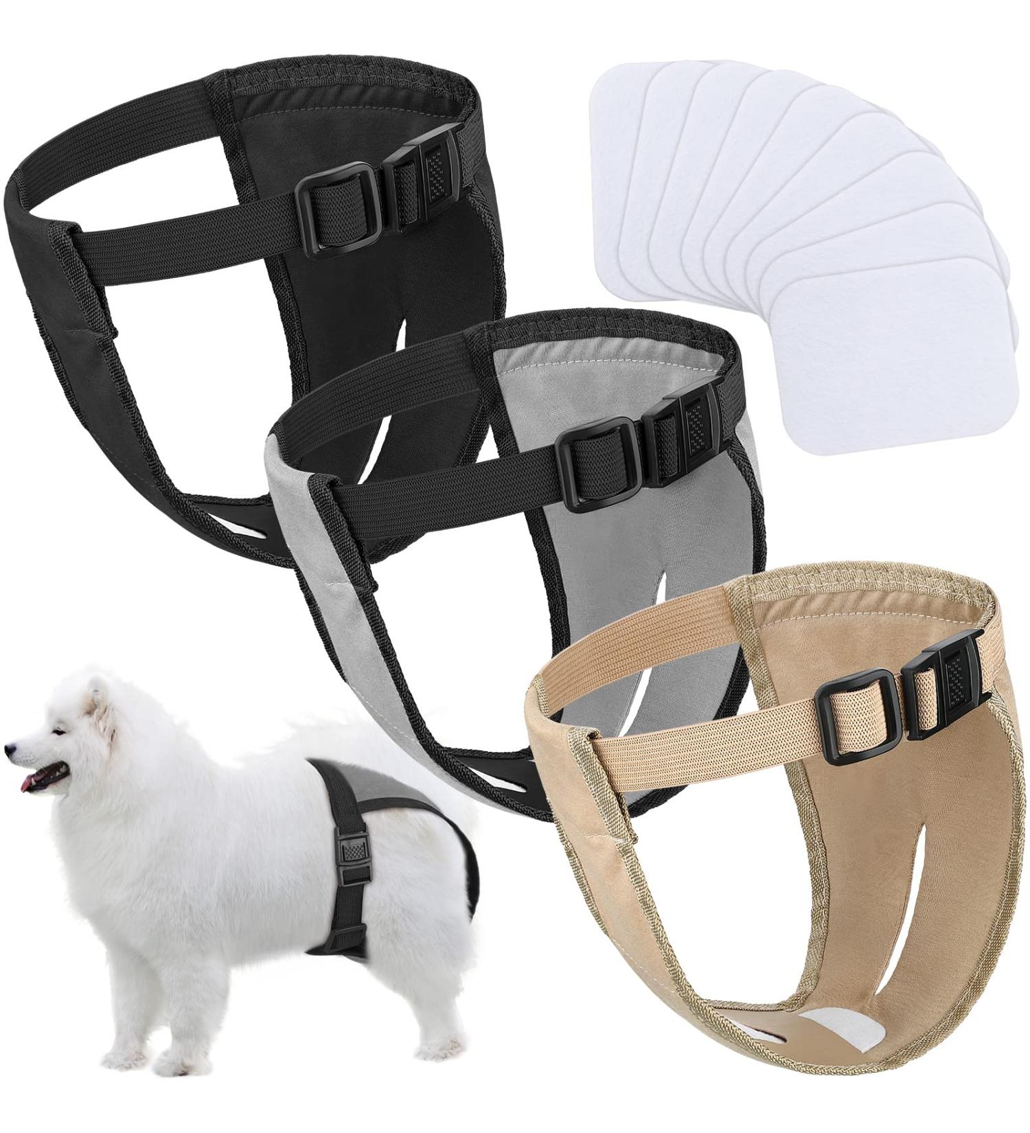 3 Pack Dog Trousers & Diapers - Adjustable Women's Bandages for Dogs in Heat | Washable Protective Pants - Buy Online on SooperMarket.com