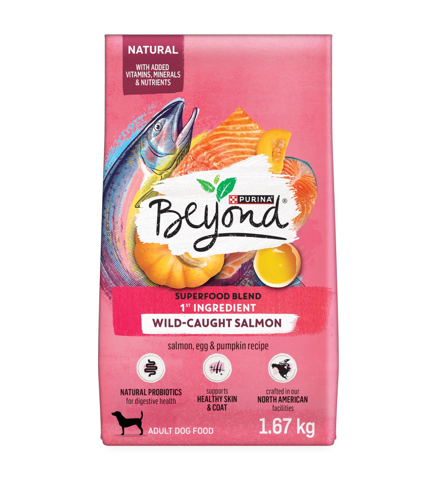 Beyond Superfood Blend Natural Dry Dog Food Wild Caught Salmon Egg & Pumpkin - 1.67 kg Bag 1.67 kg (Pack of 1) Dog Food - Buy Online on SooperMarket.com