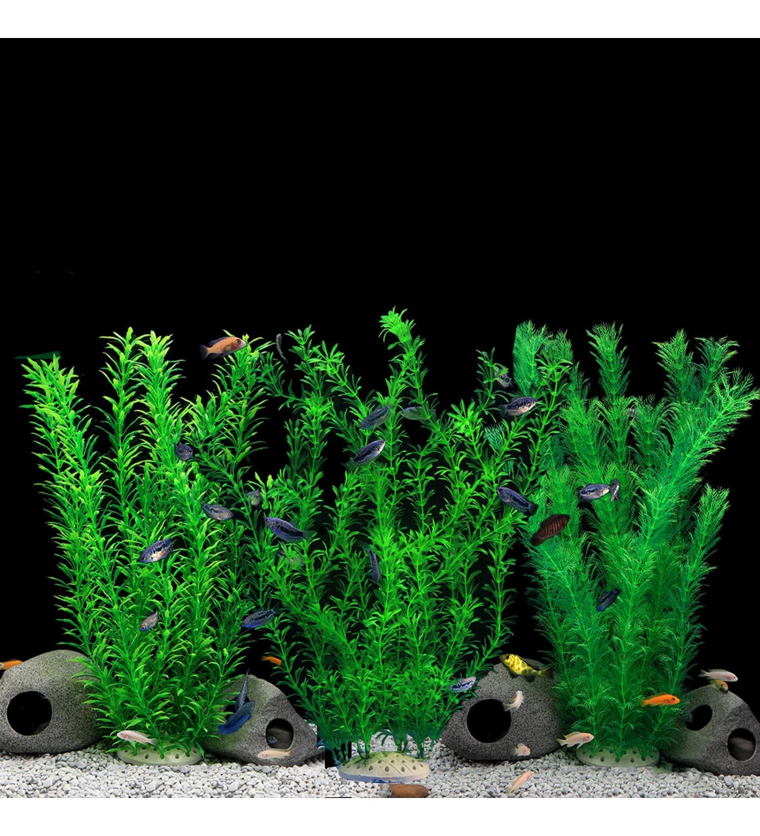 Ctpeng XXL Aquarium Decorations - Set of 3 Plastic Plants for Fish Tanks | 55cm 10cm 8cm - Buy Online on SooperMarket.com