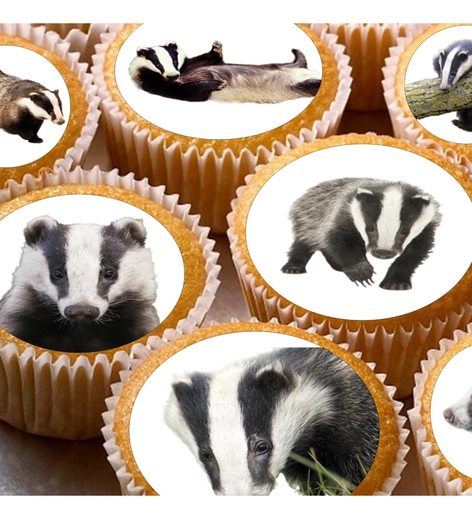 24 edible Badgers Badger British Wildlife kids childrens party decorations Iced/Icing Cupcake Topper Edible Fairy Cake Bun Toppers Round - Buy Online on SooperMarket.com