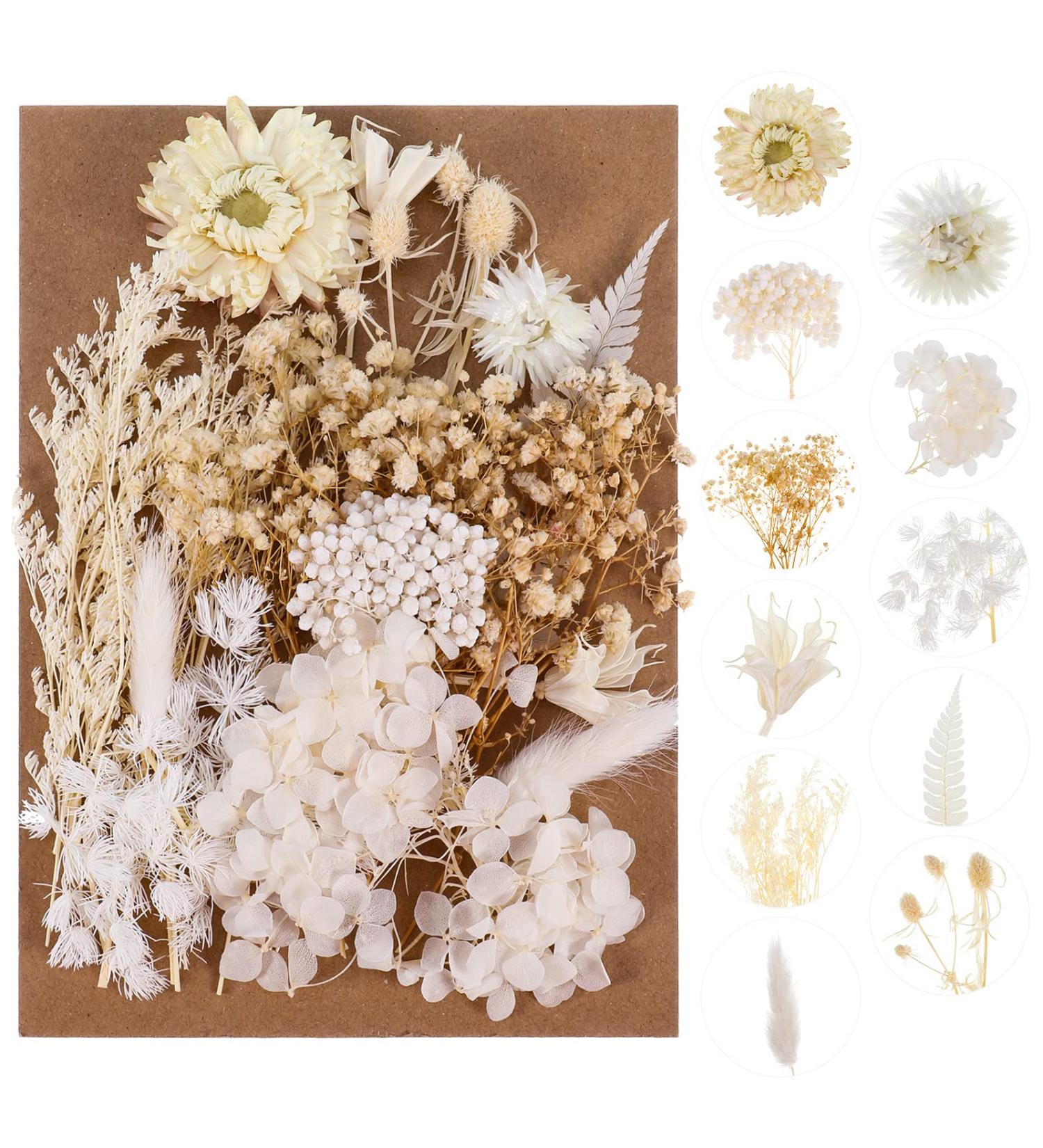 AhlsenL Real Dried Flowers Mix - Hydrangeas, Daisies, White Decorative Petals for DIY Crafts - Buy Online on SooperMarket.com