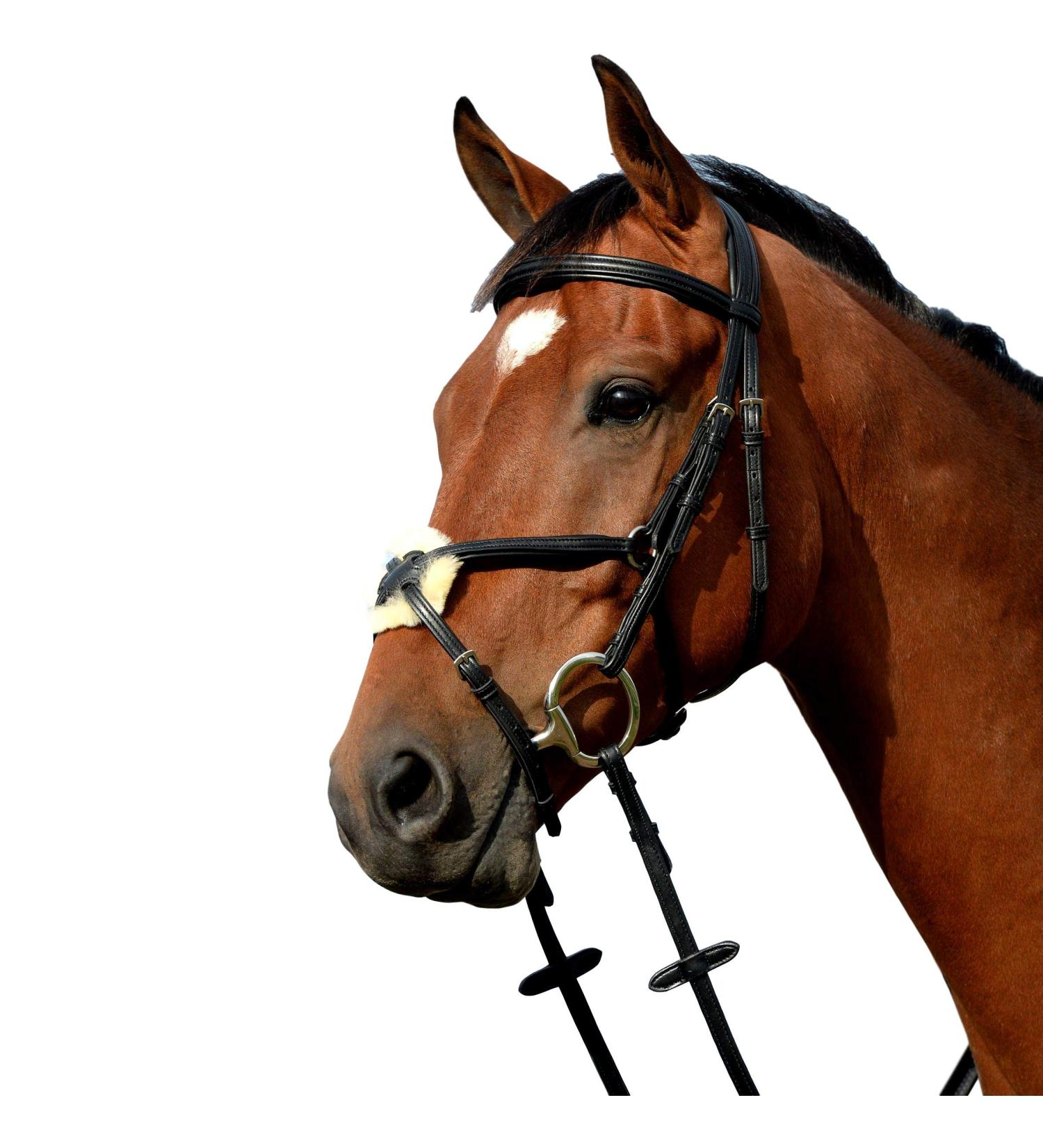 Collegiate Syntovia+ Padded Raised Grackle Bridle Brown Warmblood