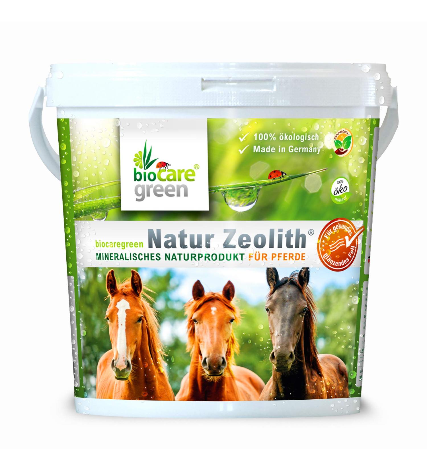 Biocaregreen Natural Zeolite for Horses | 1kg Nutritional Supplement | Ultra-Fine 50 m Grind | International Shipping Available - Buy Online on SooperMarket.com