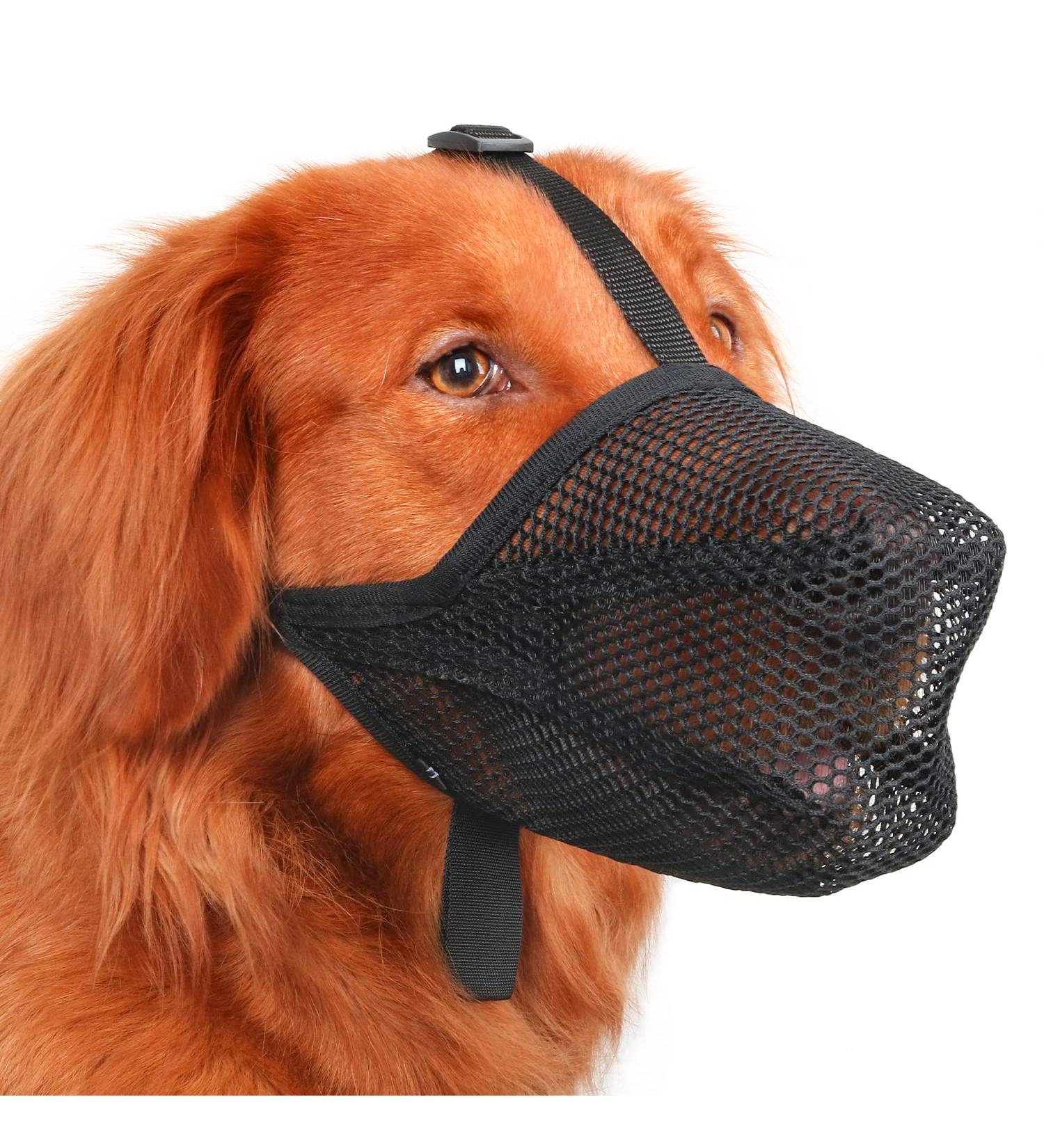 Adjustable Soft Dog Muzzle - Ideal for Small Medium & Large Dogs | Prevent Biting Licking Chewing | Perfect Fit for Snouts 9 -10 | International Shipping - Buy Online on SooperMarket.com