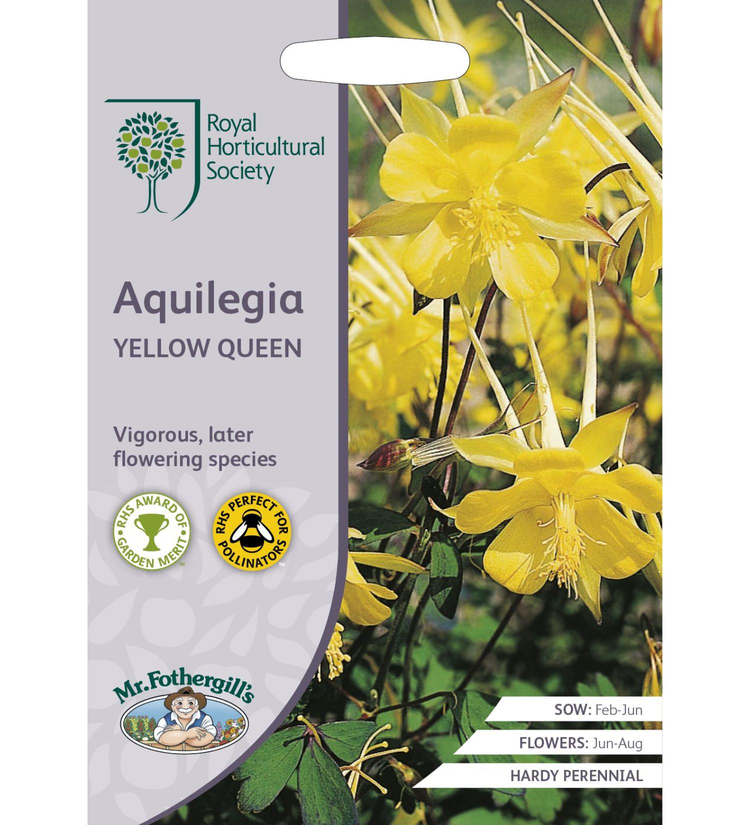 Mr Fothergill's - RHS Aquilegia Yellow Queen - Buy Online on SooperMarket.com
