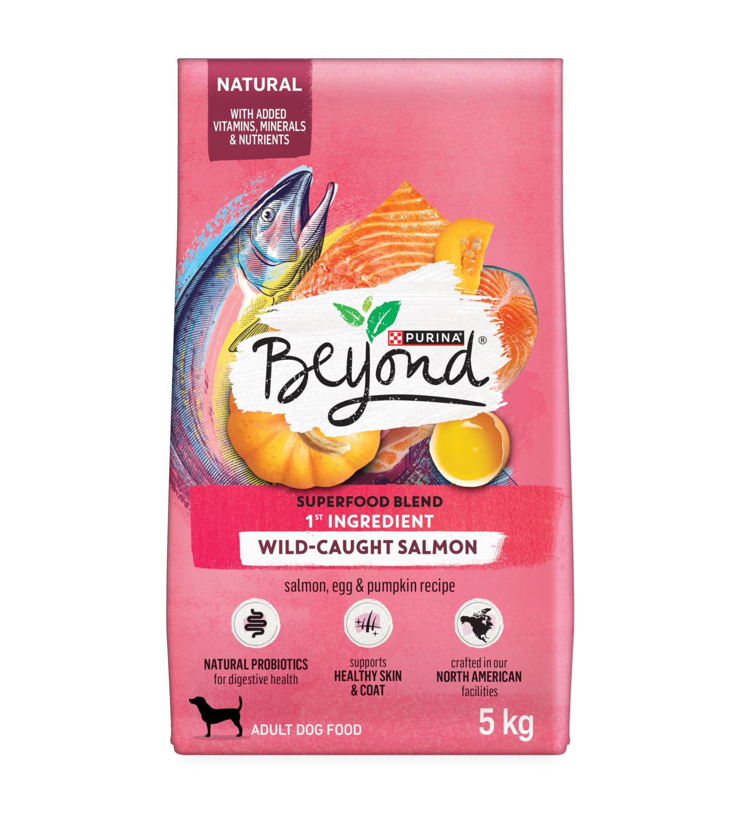 Beyond Superfood Blend Natural Dry Dog Food Wild Caught Salmon Egg & Pumpkin - 5 kg Bag 5 kg (Pack of 1) Dog Food - Buy Online on SooperMarket.com