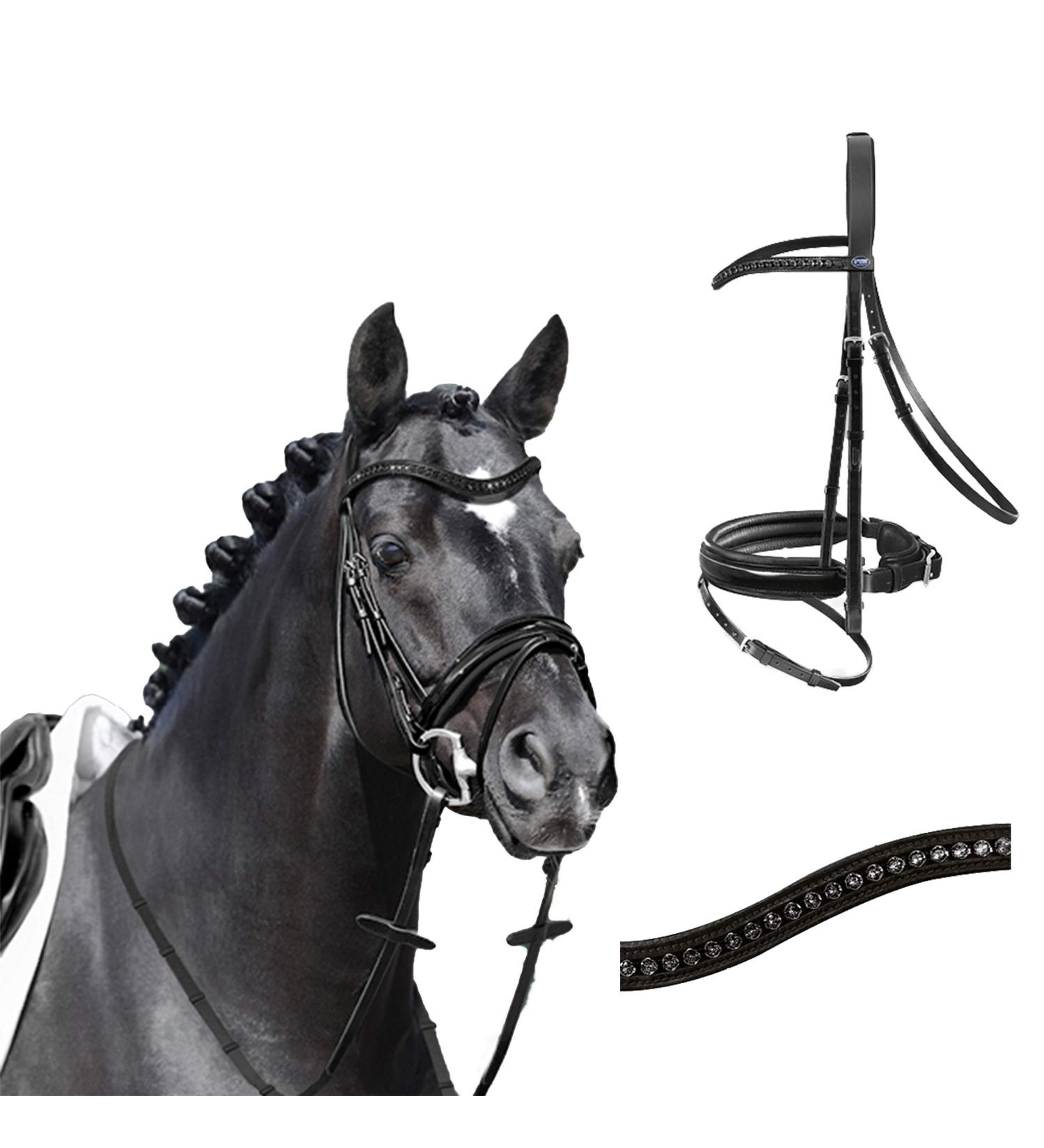 Passier bridle Apollo black patent noseband special with reins size horse: warmblood black warmblood