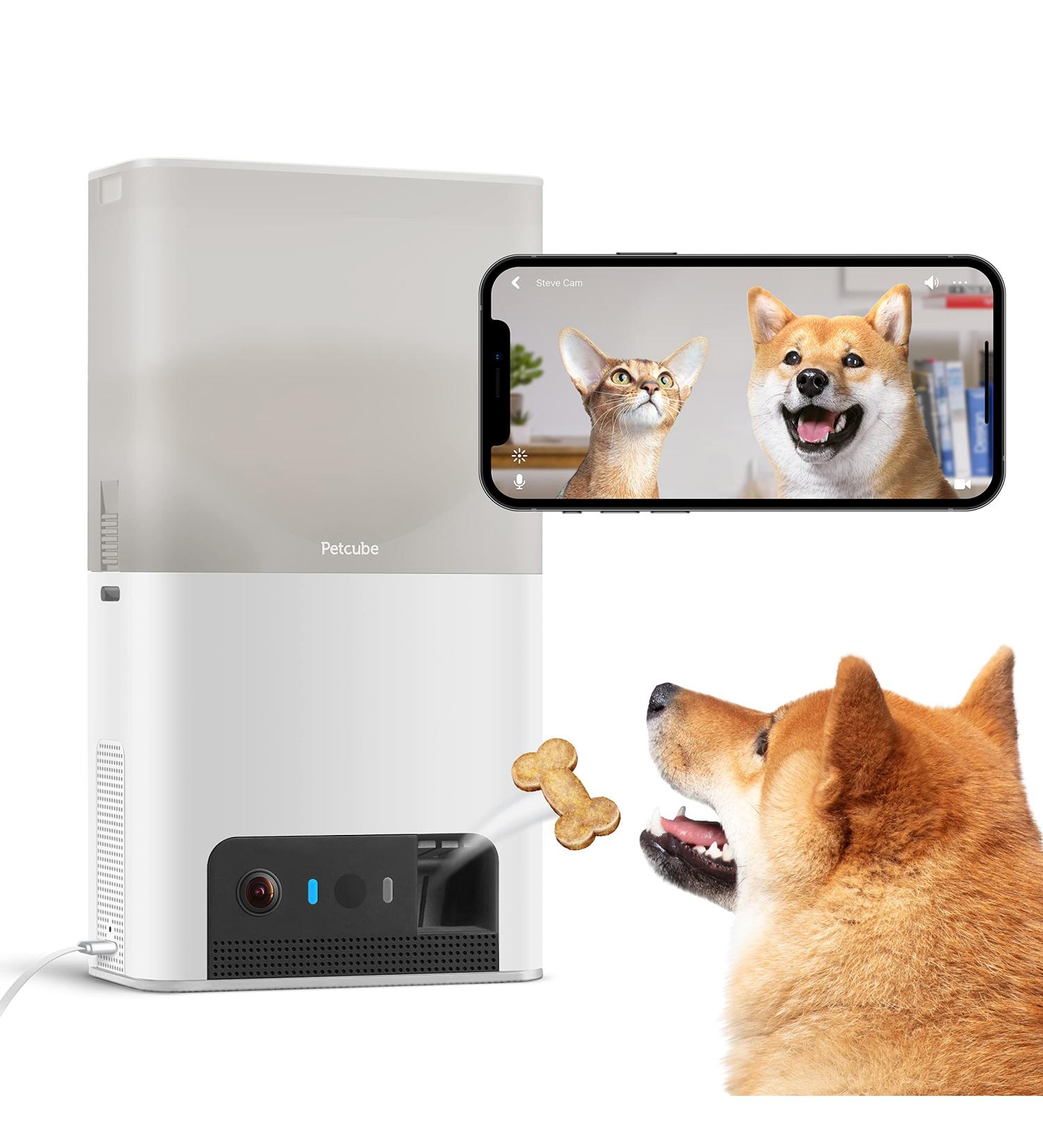 Petcube Bites 2 Lite: Interactive WiFi Pet Camera with Treat Dispenser | 1080p HD Video, Night Vision, Two-Way Audio | Cat & Dog Monitor - Buy Online on SooperMarket.com