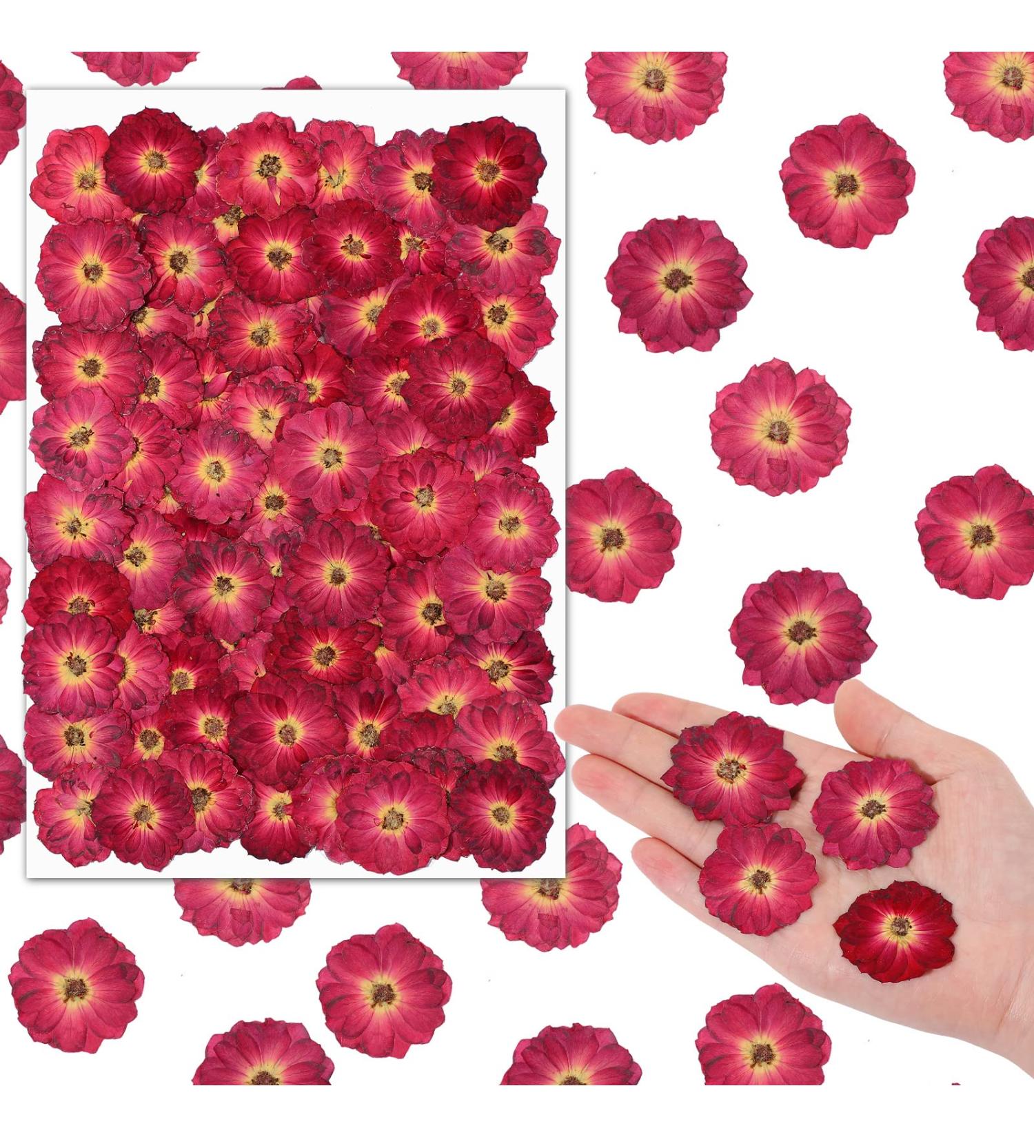100 Pcs Red Rose Dried Pressed Flowers - Natural Resin Filler for DIY Crafts and Decor - Buy Online on SooperMarket.com
