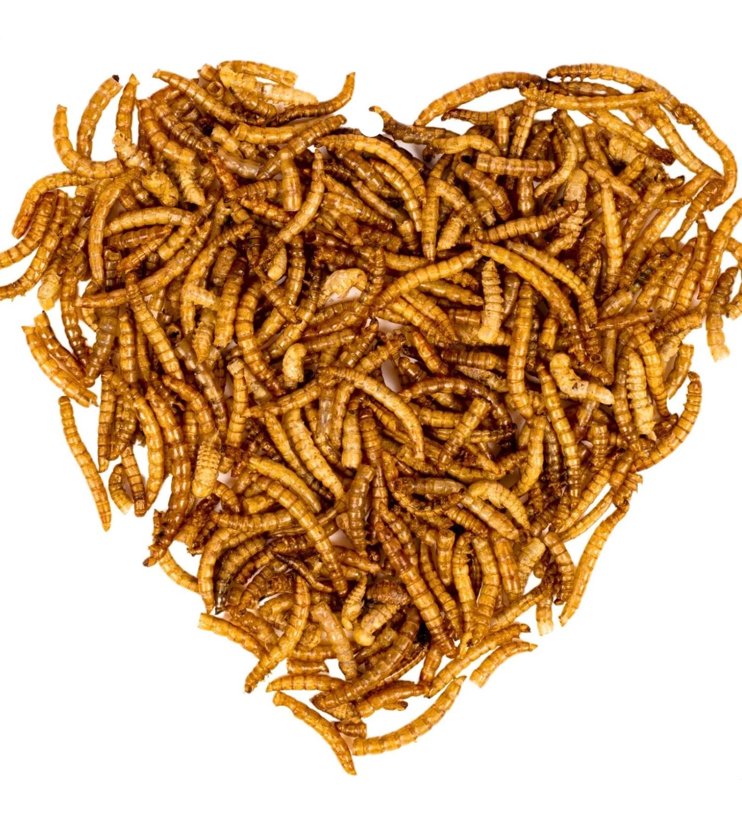 Lyra PET Mealworms 3 x 1 kg | Premium Fish Feed for Decorative & Pond Fish | Rich in Protein Vitamins & Minerals | Ideal Nutrient Source for KOI - Buy Online on SooperMarket.com