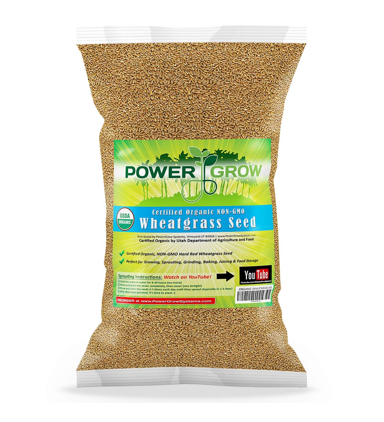 Certified USA Hard Red Wheatgrass Seeds by PowerGrow - 5 Pounds - Buy Online on SooperMarket.com
