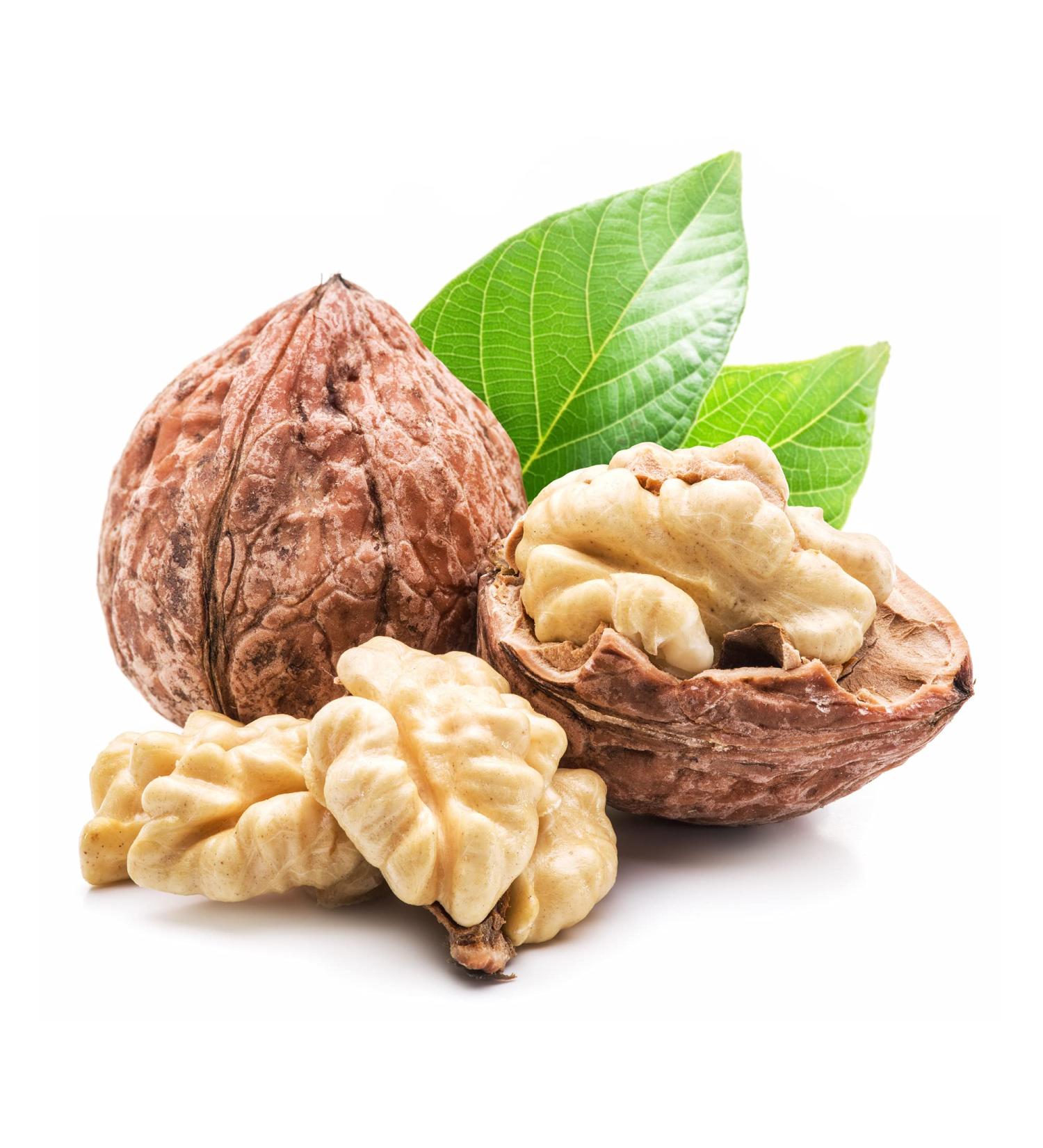 Quast Horseradish Grenoble Walnuts PDO | Premium French Walnuts 32+ | 800g International Shipping - Buy Online on SooperMarket.com