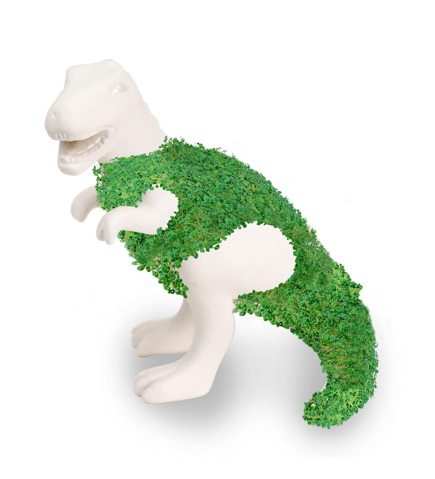 GR Gift Republic Chia-Saurus | Dino Planter with Chia Seeds | Unique Indoor Planters for Kids & Adults | Fun Gardening Gifts - Buy Online on SooperMarket.com