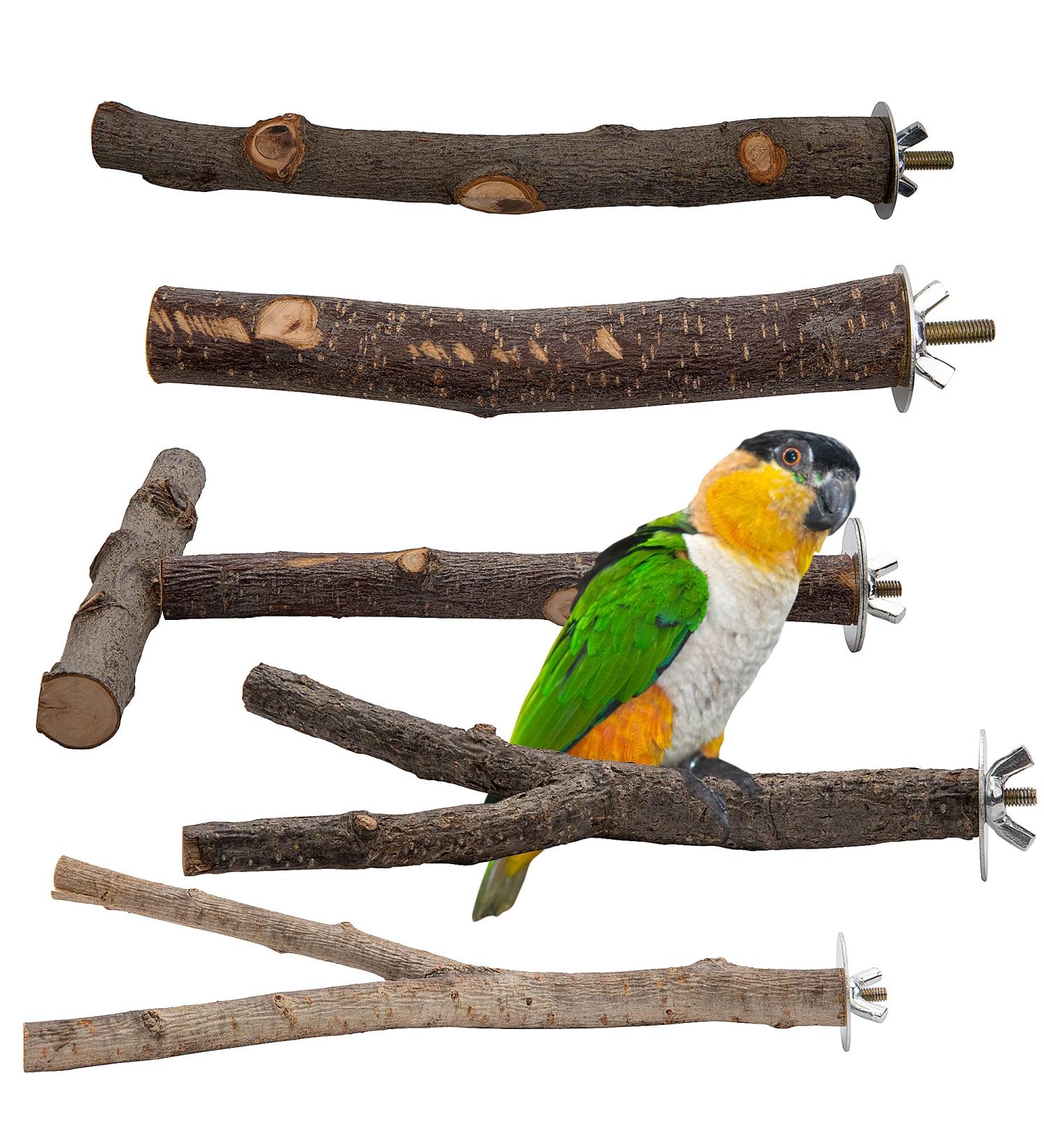 5PCS Natural Wood Bird Perches for Parrot - Wooden Stand Branches for Small Birds - Cage Accessories for Parakeet, Budgies, Cockatiels, Conure, Lovebirds - Buy Online on SooperMarket.com