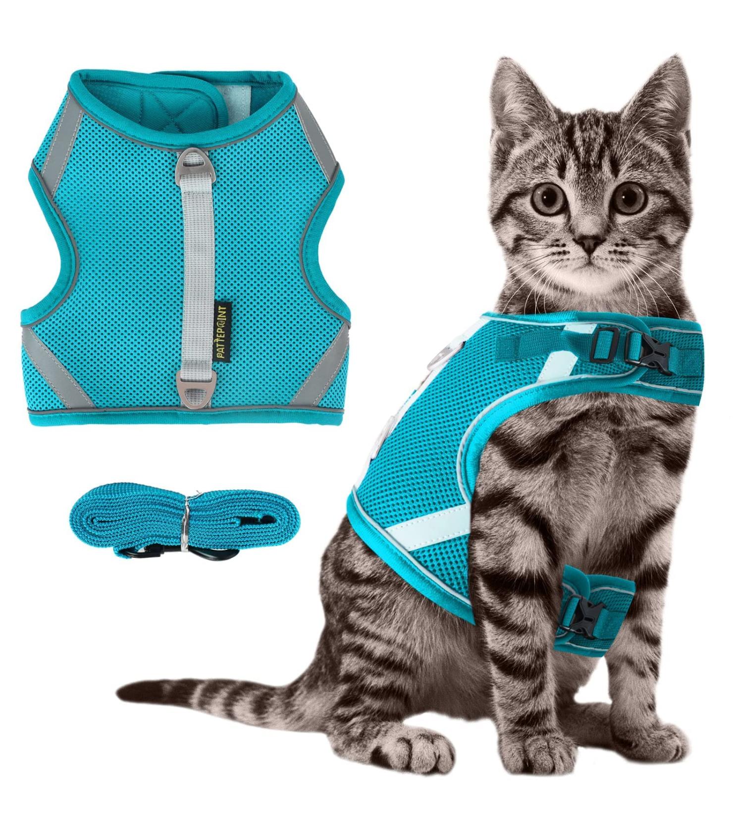 Premium Cat Dishes with Leash | Reflective Cat Patrol Gear for Safe Adventures - Buy Online on SooperMarket.com