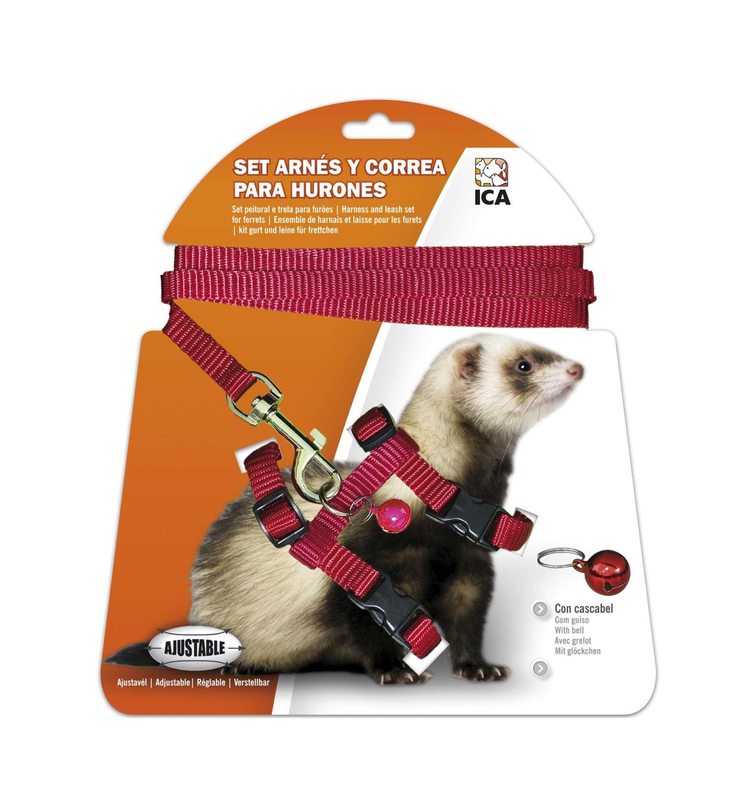 ICA DA970 Set with harness and leash for ferrets red