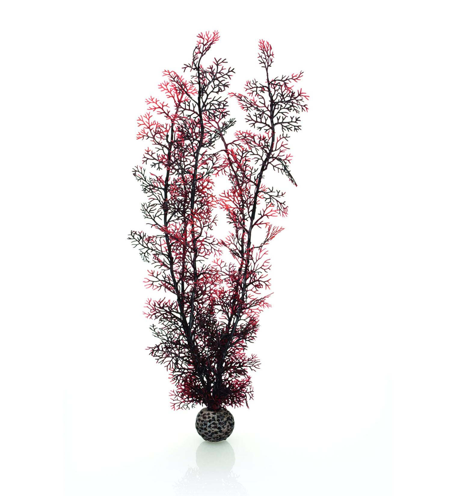 Buy Biorb 46075 XL Horn Coral - Dark Red Aquarium Decoration | Easy-to-Clean Natural Plastic for Freshwater & Saltwater - Buy Online on SooperMarket.com