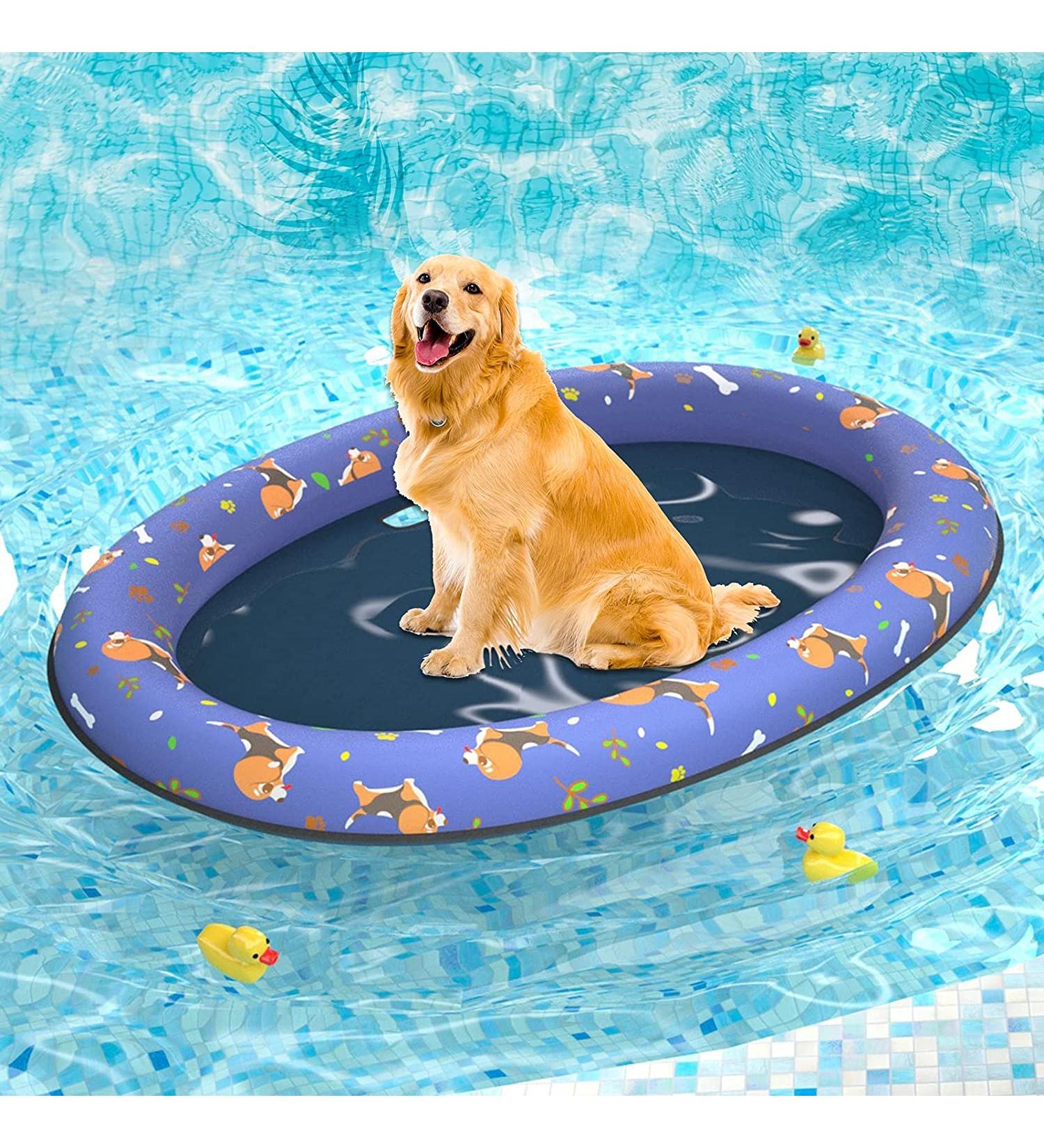 Pet Soft Inflatable Dog Float Raft - Large Blue for Summer Swimming - Buy Online on SooperMarket.com
