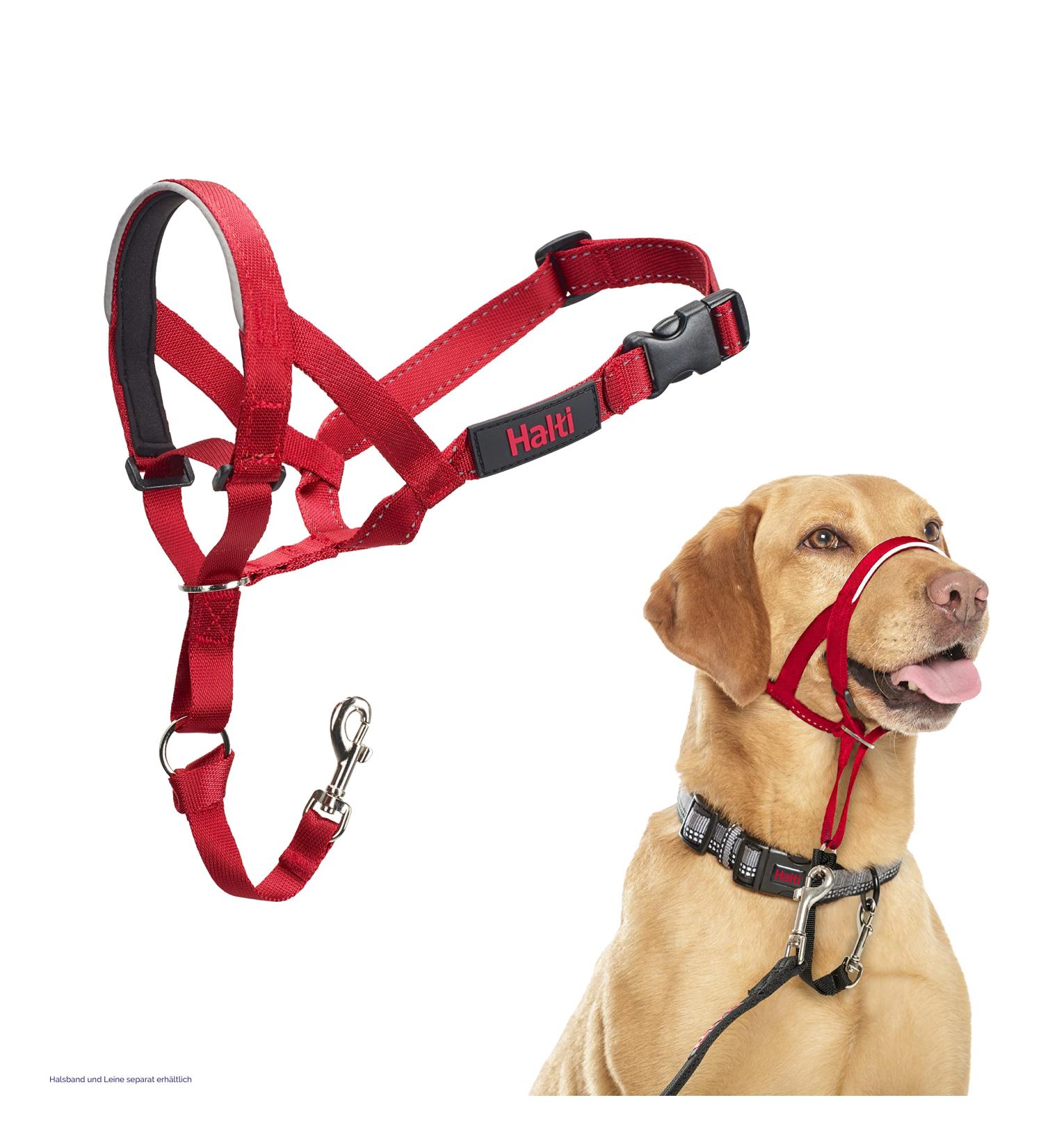 Halti Head Harness for Medium Dogs - Anti-Pull Leash Control Adjustable & Lightweight with Padded Nose Strap (Size 3 Red) - Buy Online on SooperMarket.com