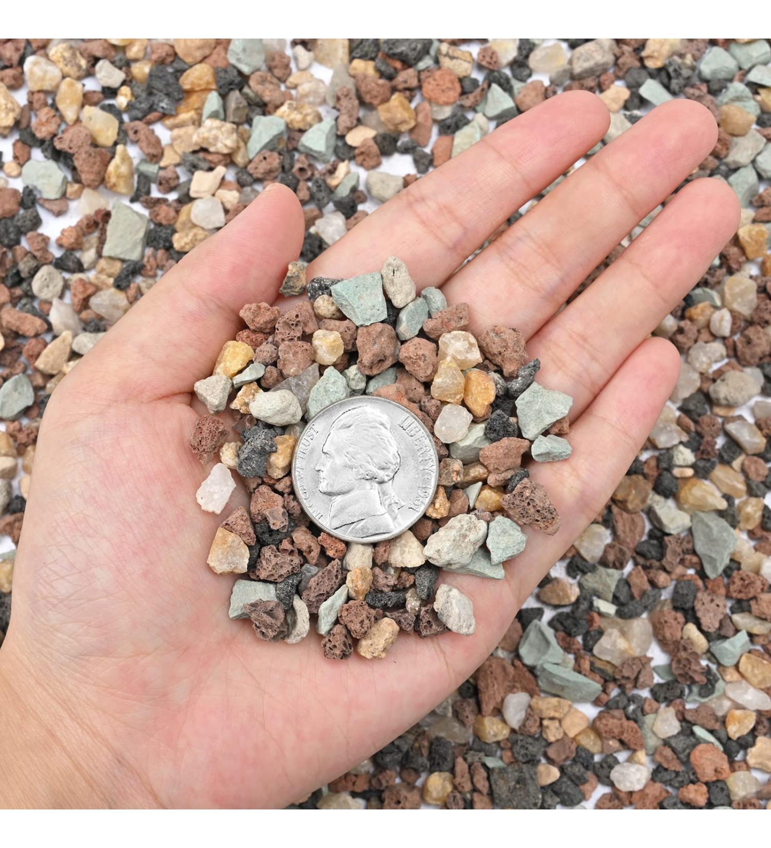 Succulent Cactus Bonsai Gritty Mix Stones (2 LB)  Small Decorative Horticultural Gravel Rocks for Aquarium  Terrariums  Fairy Garden  Top Dressing  Soil Additive for Potted Houseplants 2 LB Bonsai Gritty Mix Stones - Buy Online on SooperMarket.com