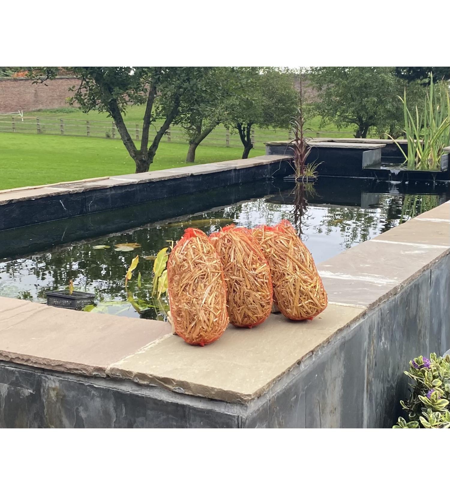 Barley straw for ponds - Barley straw treatment - Extract and treat blanket weed - Environmentally friendly - 3 for the price of 2 - From straw bale - Best value for money - Heist Store Ltd - Buy Online on SooperMarket.com