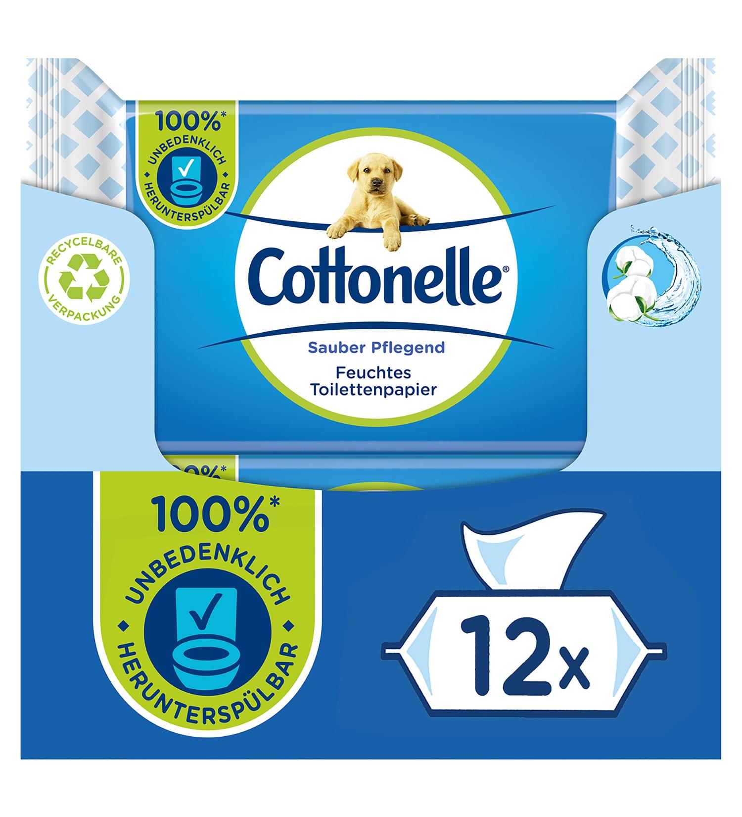 Buy Cottonelle Moist Toilet Paper - Biodegradable Wet Wipes with Cotton Fragrance | 12x42 Pack - Clean & Nourishing | International Shipping Available - Buy Online on SooperMarket.com