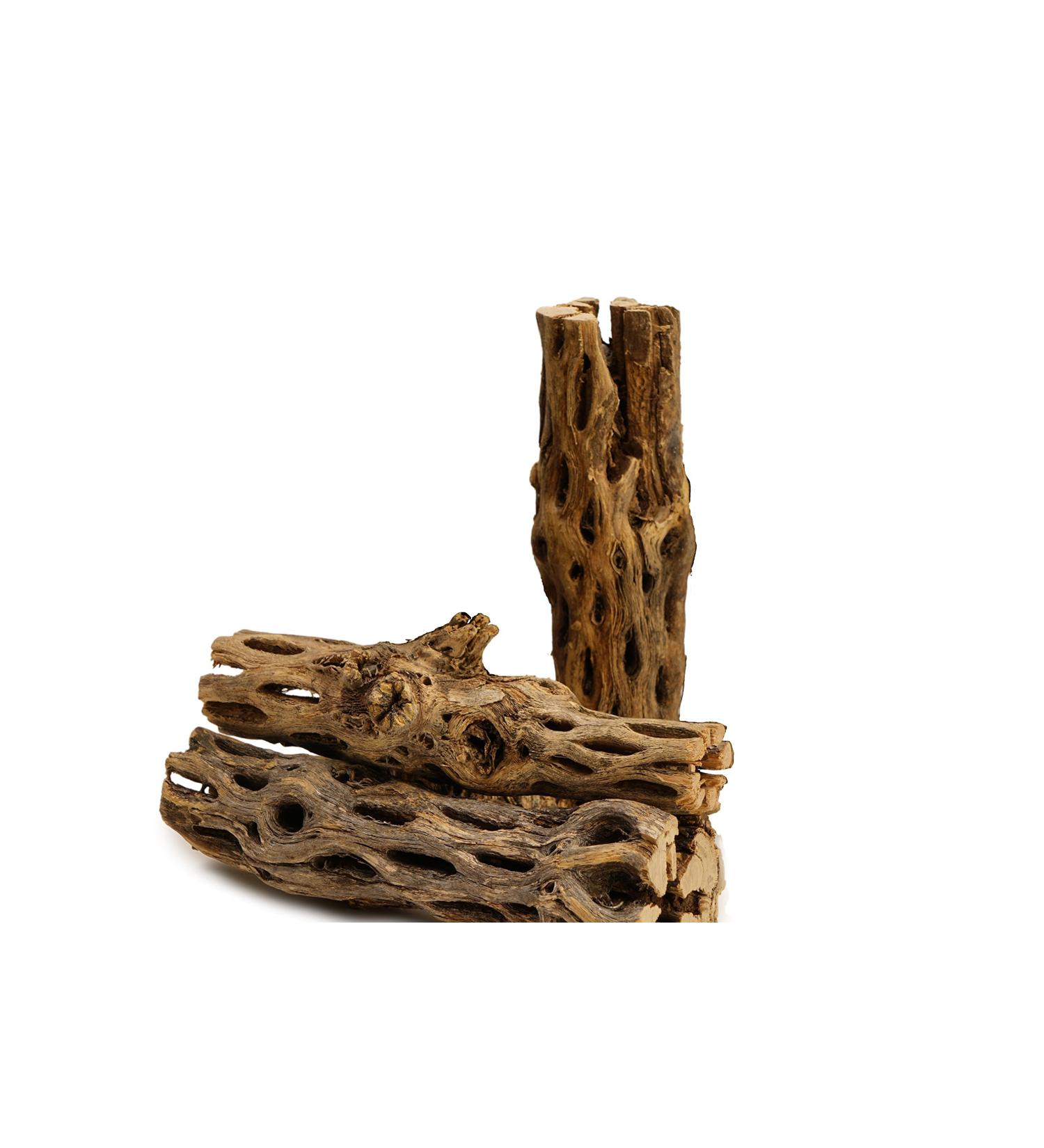 NApremium Natural Cholla Wood. Long Natural Cholla Wood for Aquarium Decoration  Hermit Crabs  Shrimp. 3x 5-6 Inch Cholla - Buy Online on SooperMarket.com